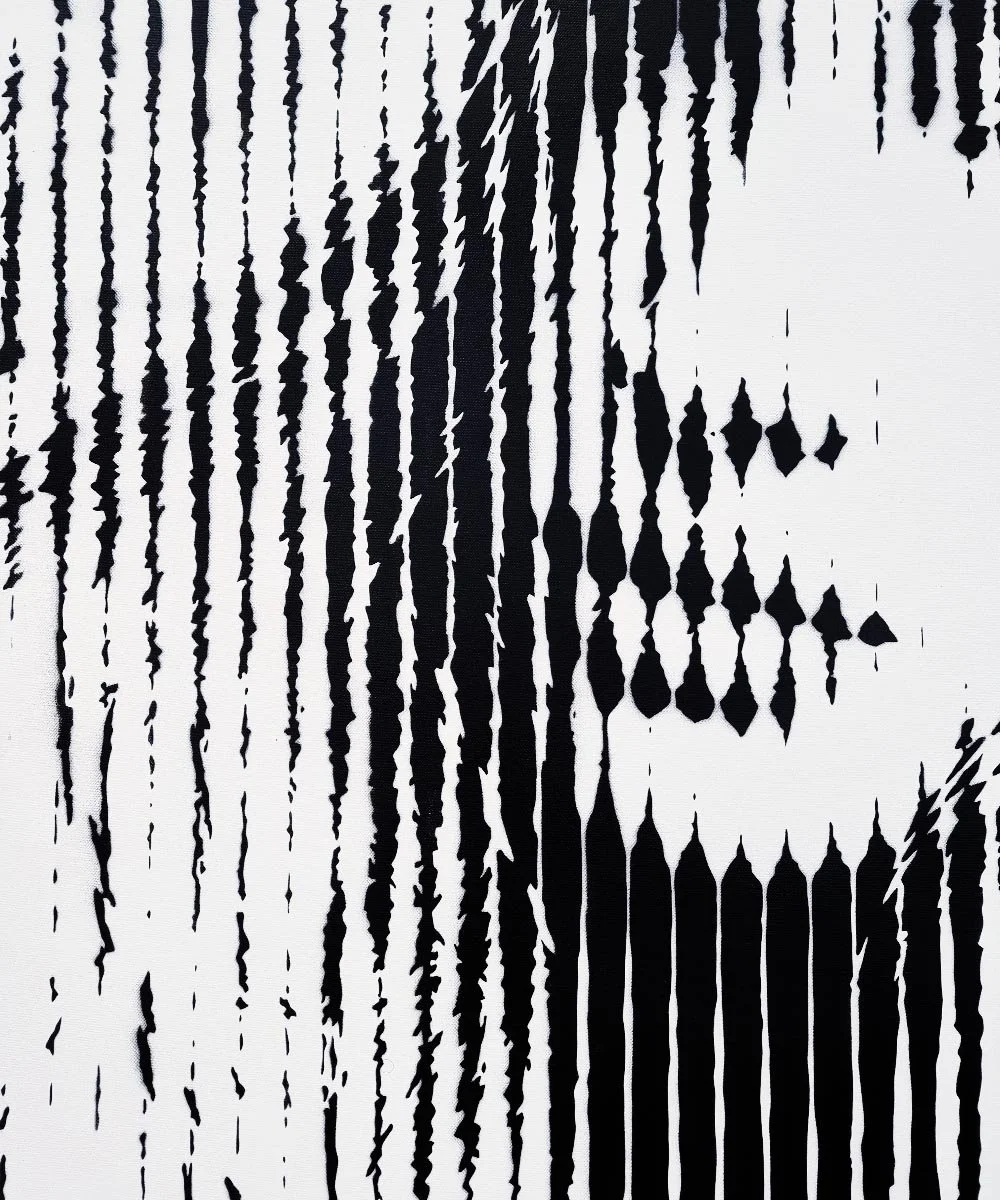 asko art monochrome faces 11 street art modern contemprary 3.jpg