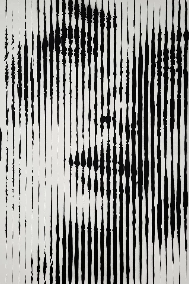 monochrome line portrait expressive lines monochrome faces asko art.jpg
