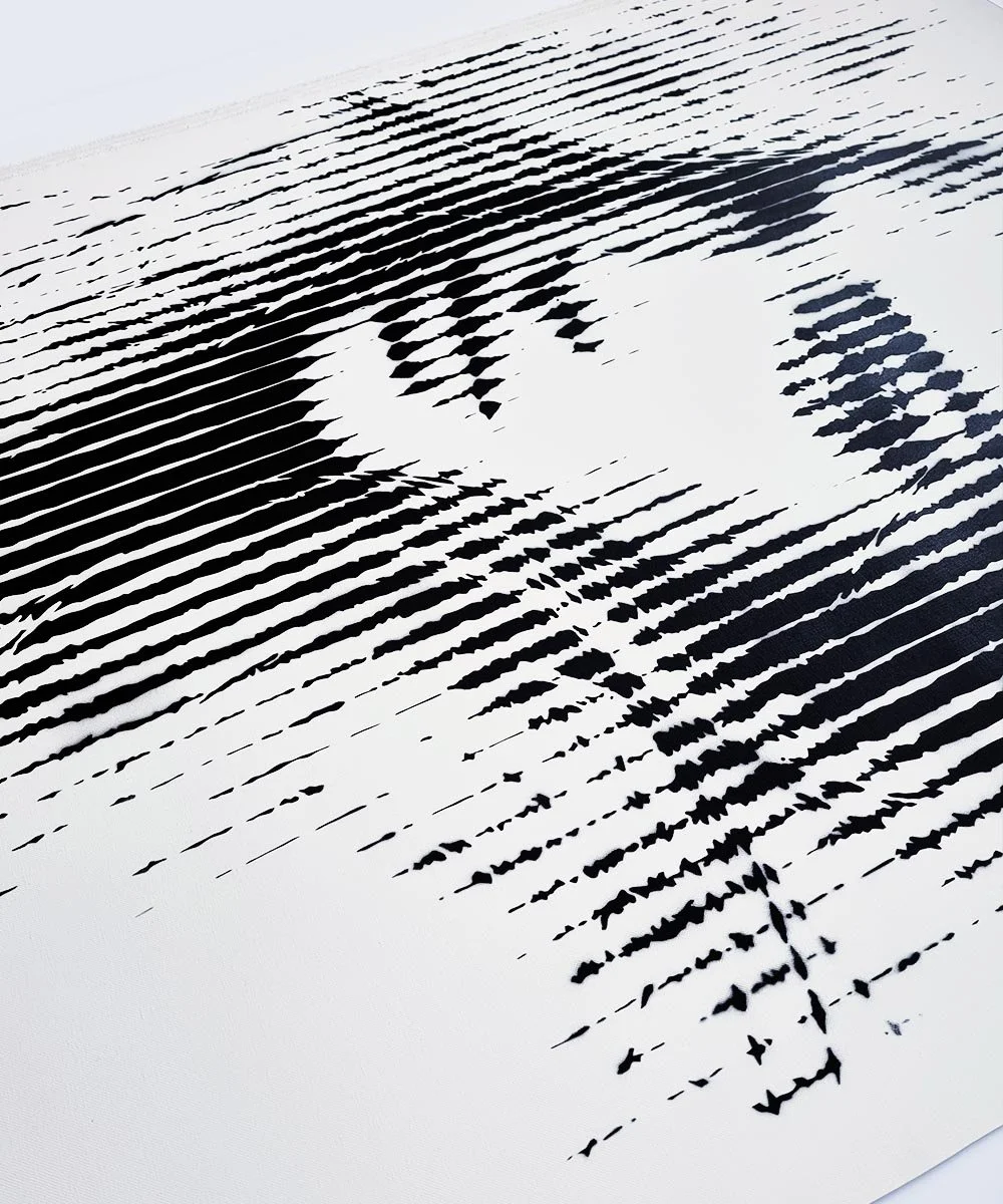 asko art monochrome faces 11 street art modern contemprary 7.jpg