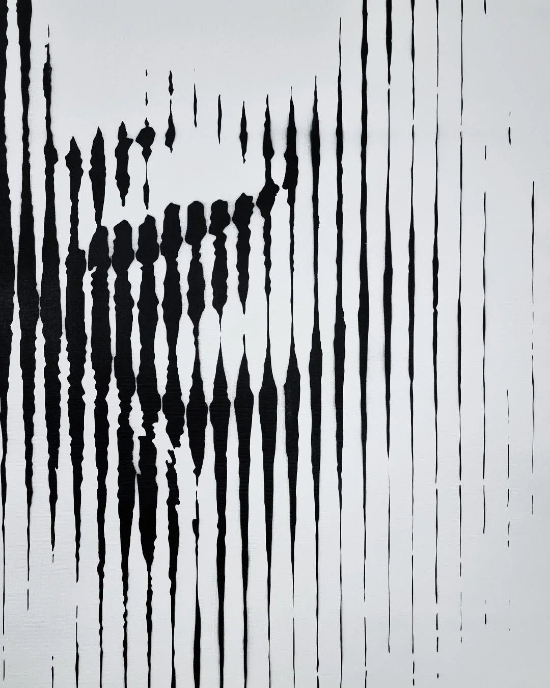 monochrome lines portrait art6.jpg