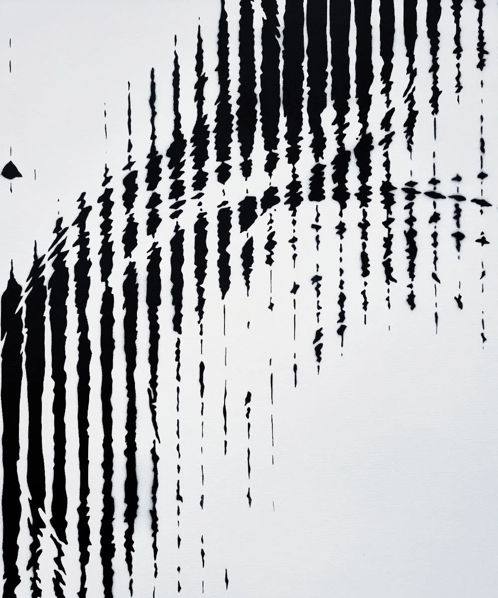 asko art monochrome faces 11 street art modern contemprary 1.jpg