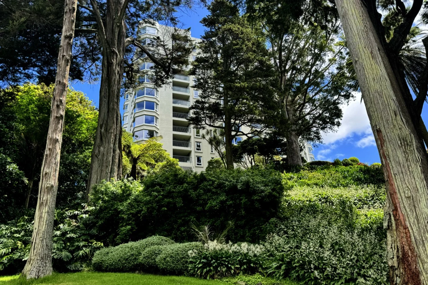 A modern high-rise building surrounded by lush green trees and bushes, with a bright blue sky and a few clouds in the background.