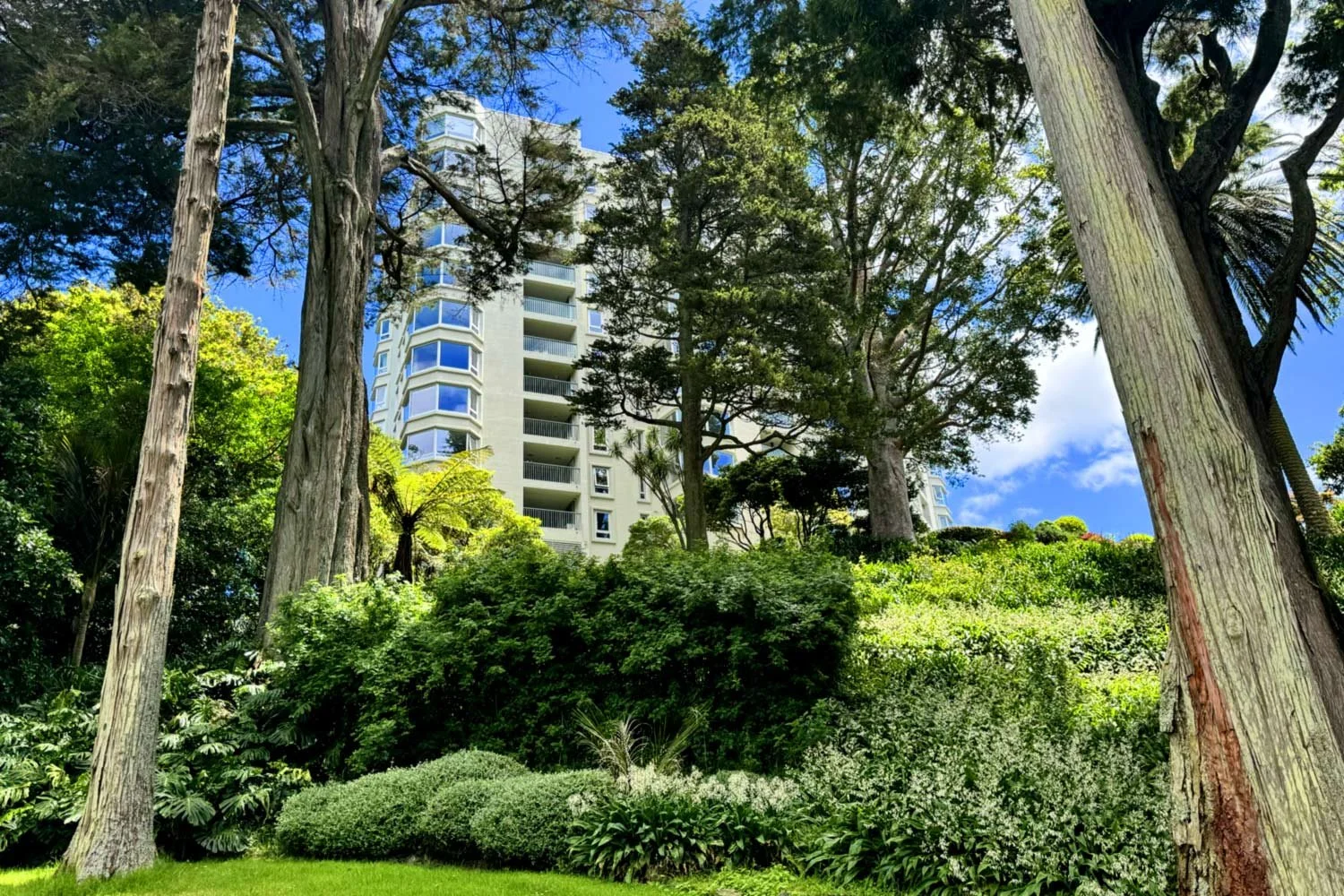 A tall apartment building viewed through a forest with green trees and bushes, under a blue sky with some white clouds.