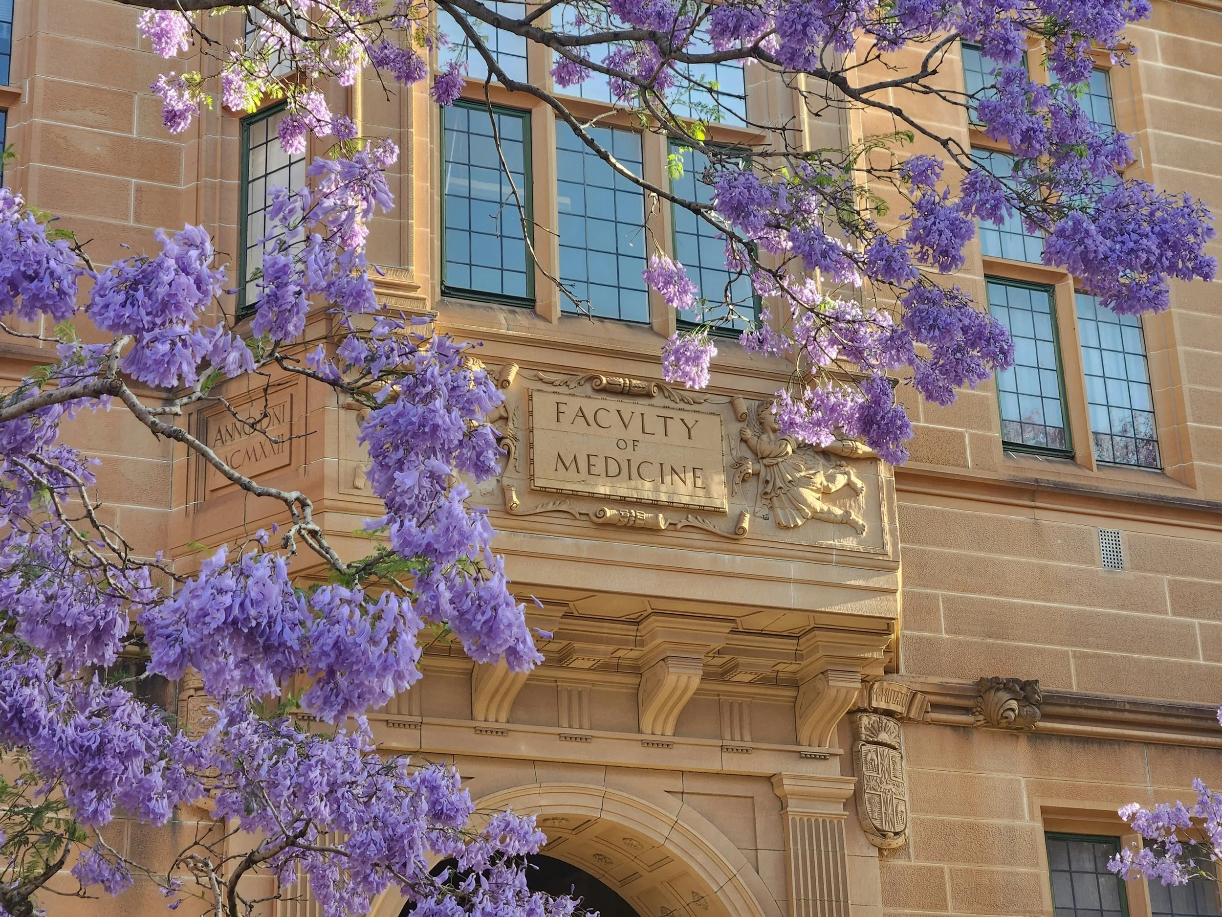 University of Sydney