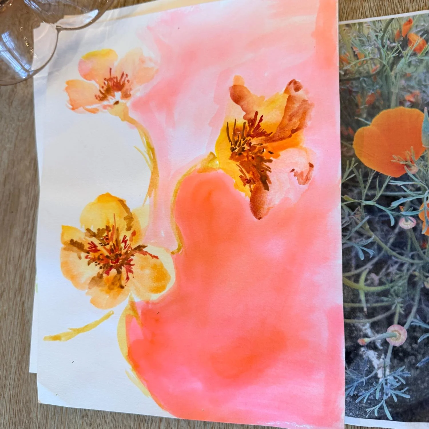 Blurry.California.Poppy.jpg