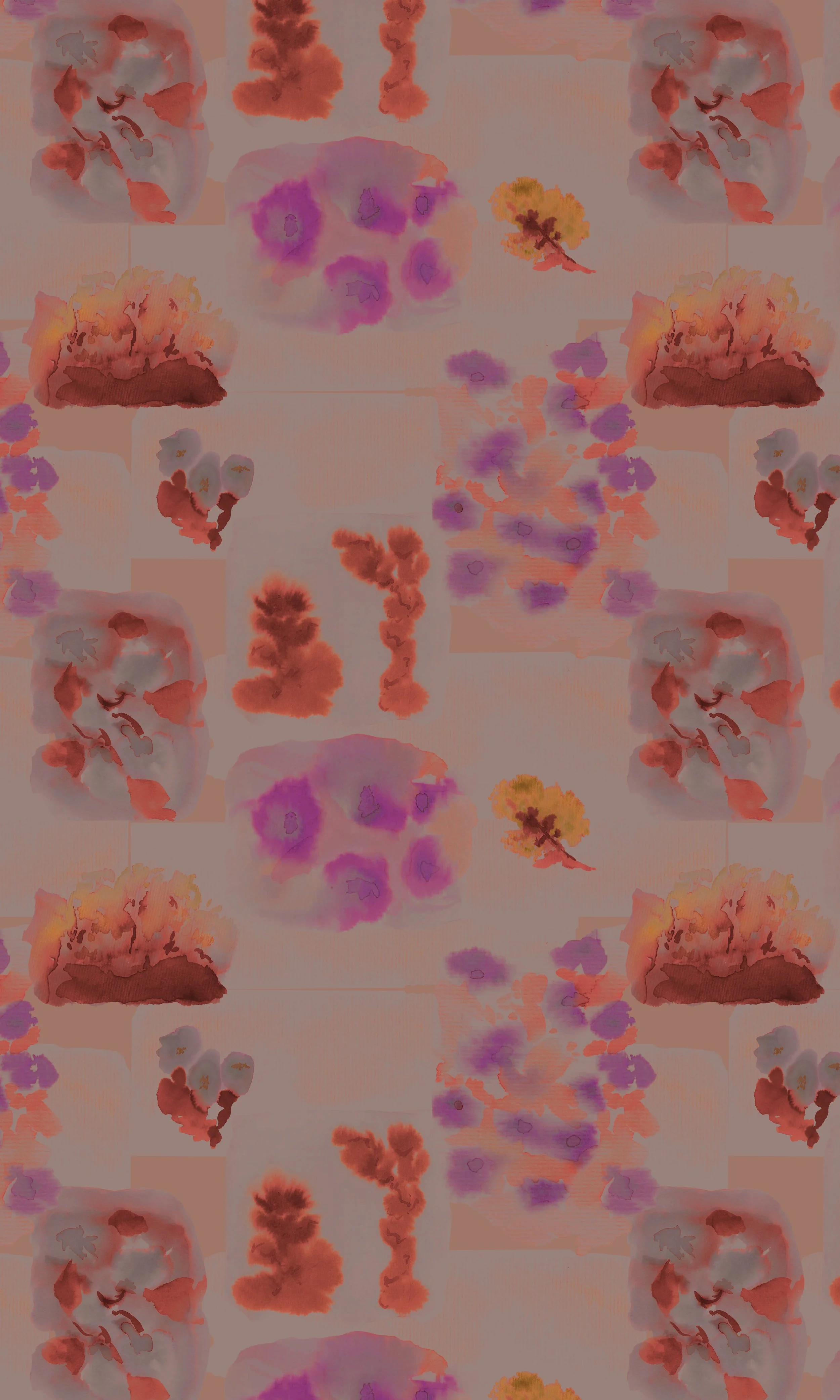 C3.Desert.Collage.jpg
