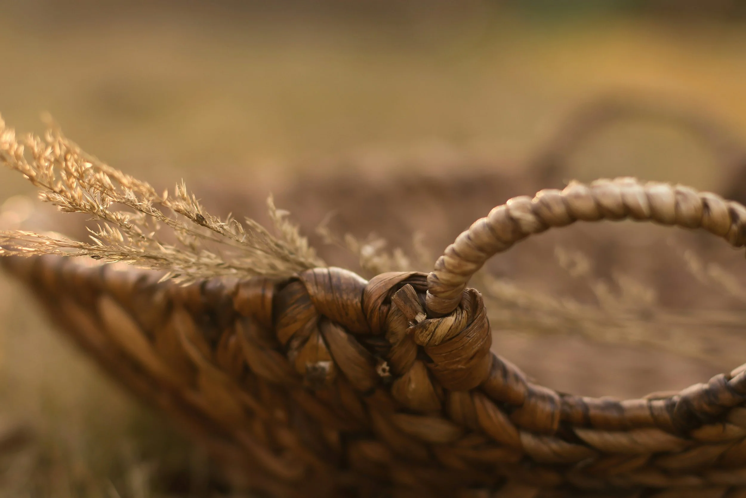 A Gratitude-Based Harvest Ritual You Can Do at Home