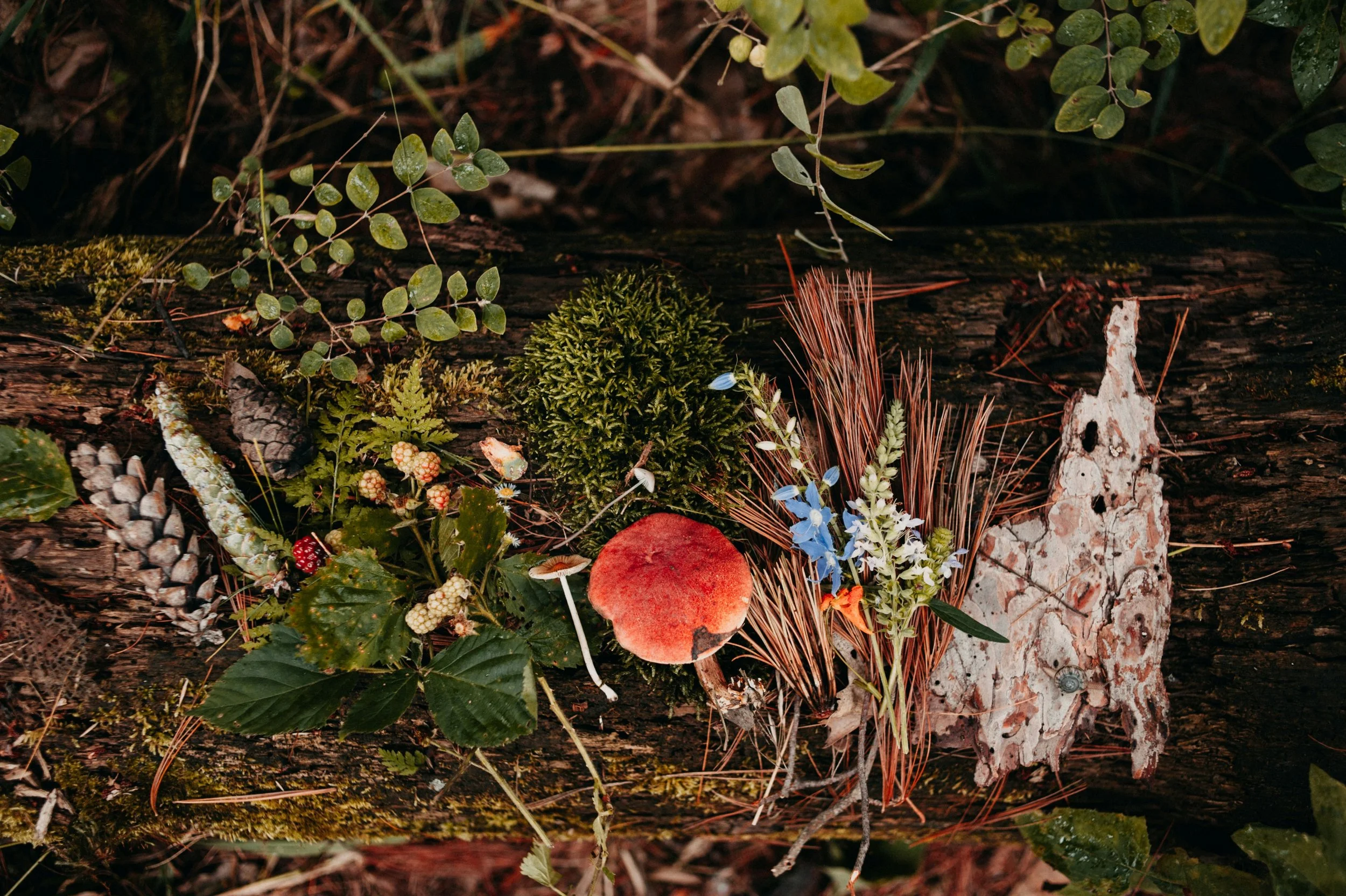 How to Build a Seasonal Altar with Natural Materials