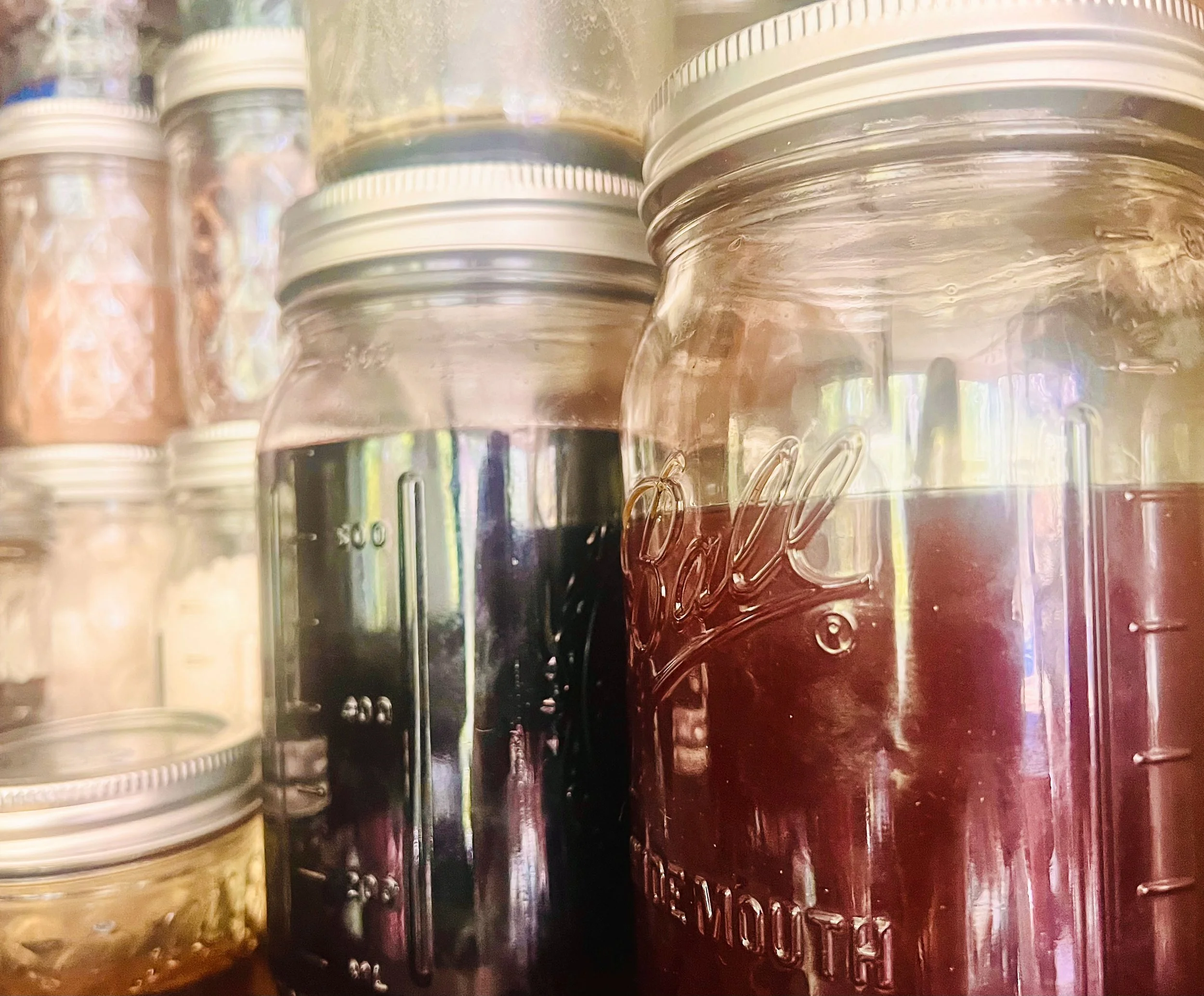 infusions.jpg