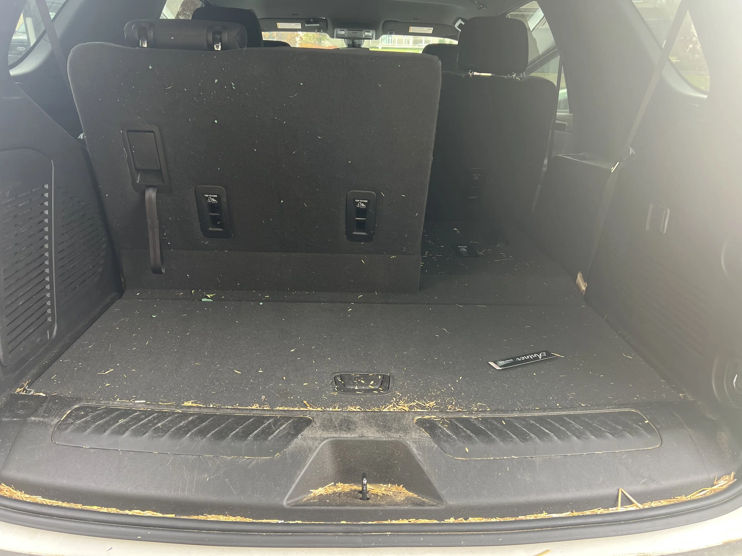 Empty car trunk with some leaves and dirt, back seats folded down, and rear window in the background.