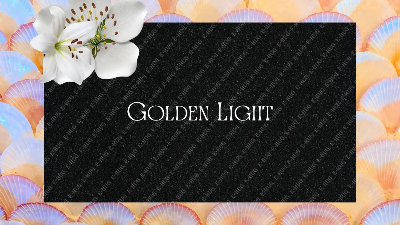 FRAME CODE: ELE_027