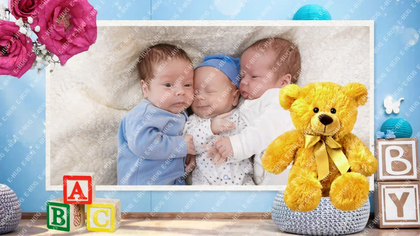 FRAME CODE:FAM_011
