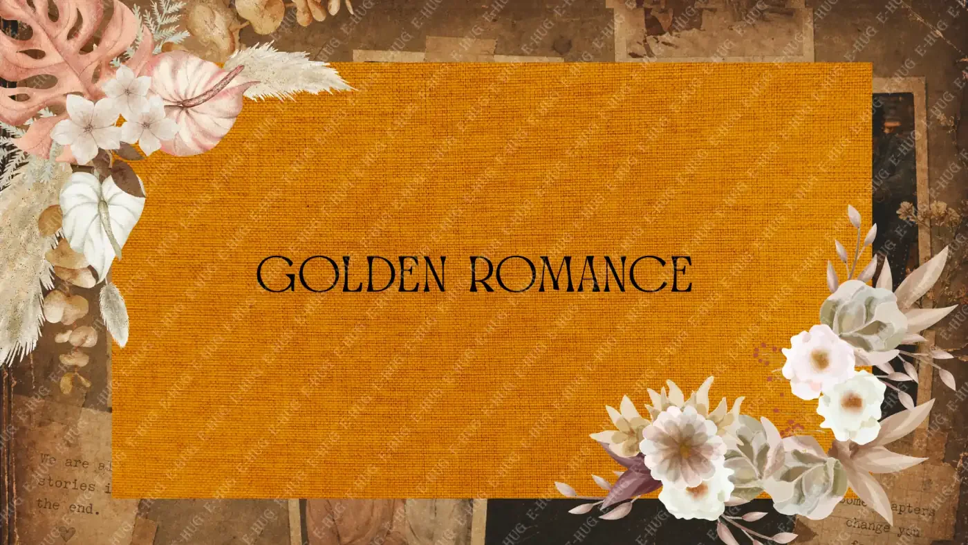 
FRAME CODE: ROM_003