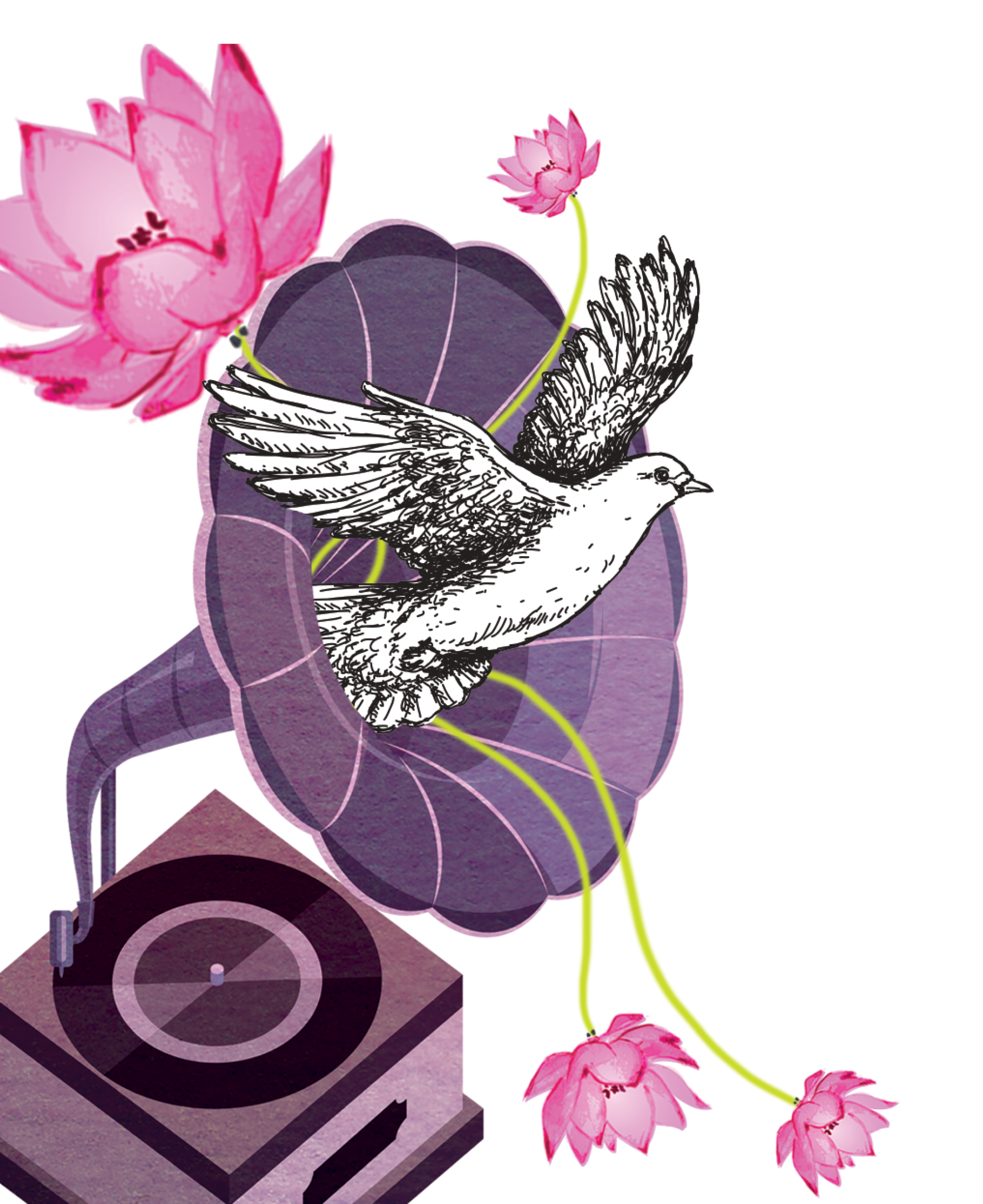 A black and white illustrated bird flying over pink lotus flowers, purple leaves, and a gray turntable or record player.