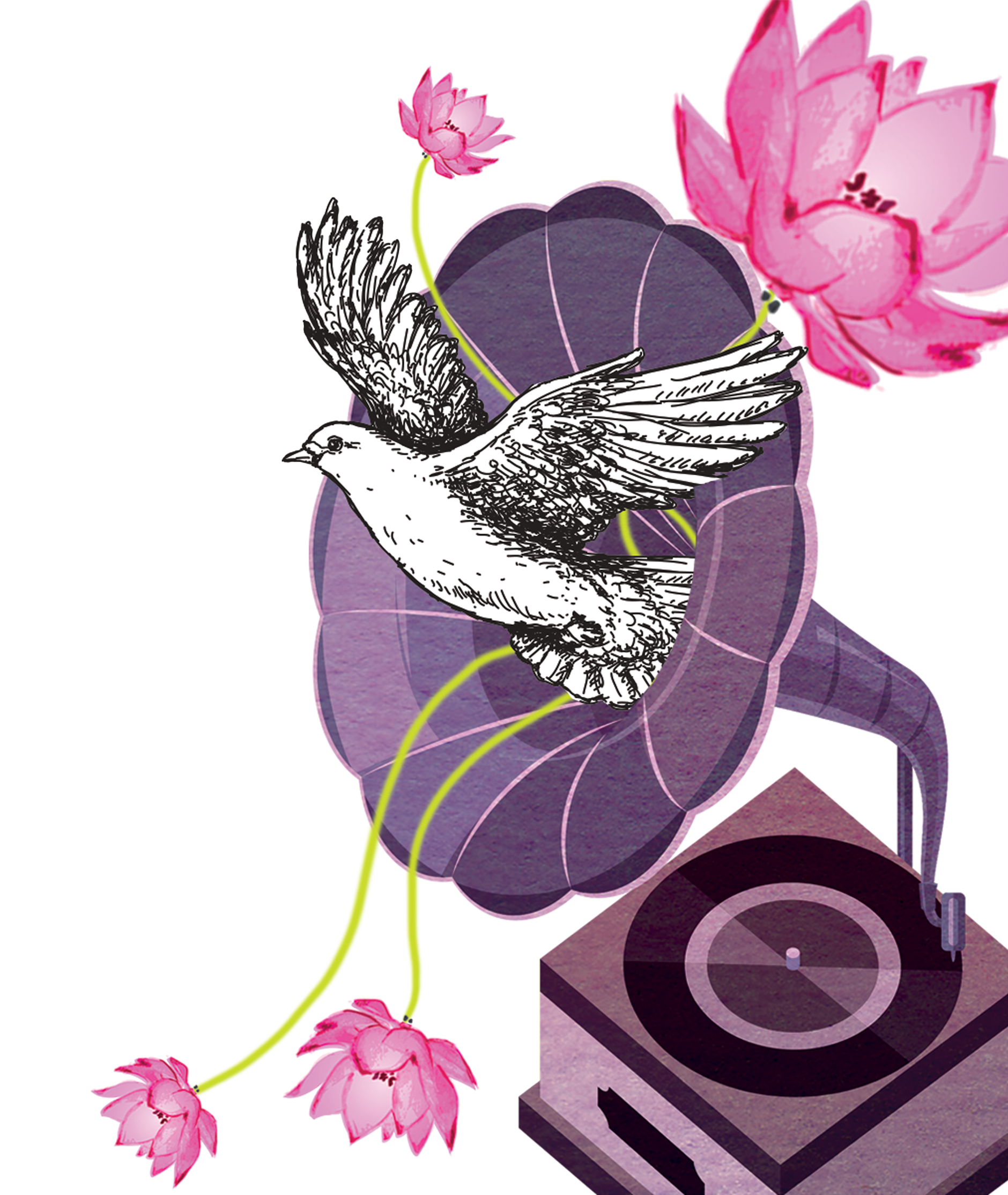 A graphic illustration of pink lotus flowers, a purple water lily leaf, a vintage-style speaker, and a black and white sketch of a bird in flight with wings spread, positioned in front of the water lily leaves and flowers.