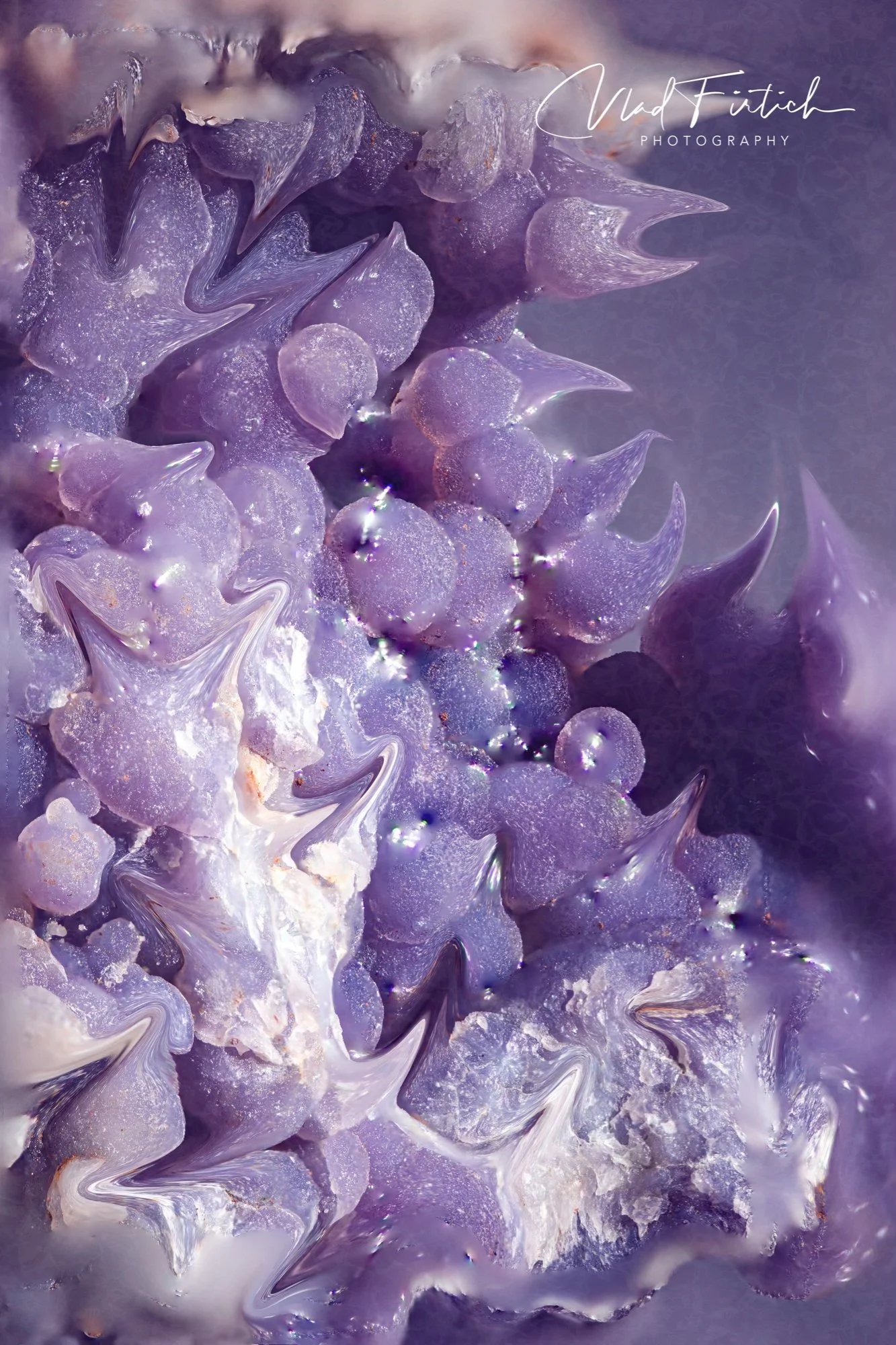 Close-up abstract image featuring purple and white textured elements with spiky and rounded shapes, resembling crystals or flowers, with a signature and text "Vlad Fitrick Photography" at the top right corner.