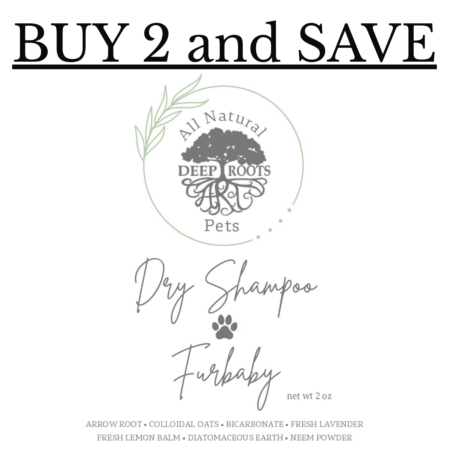 Buy 2 and Save.png