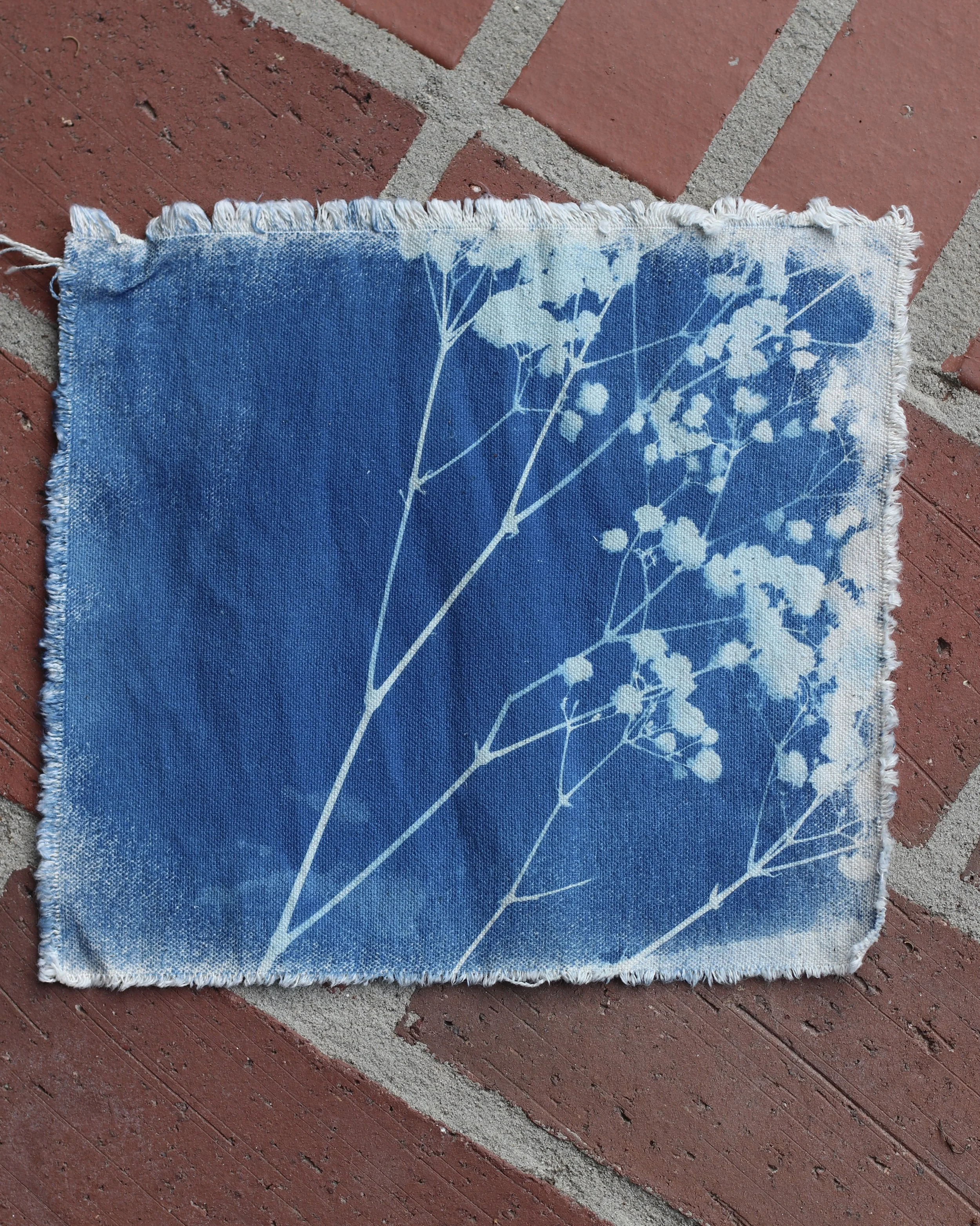 Cyanotype on Fabric
