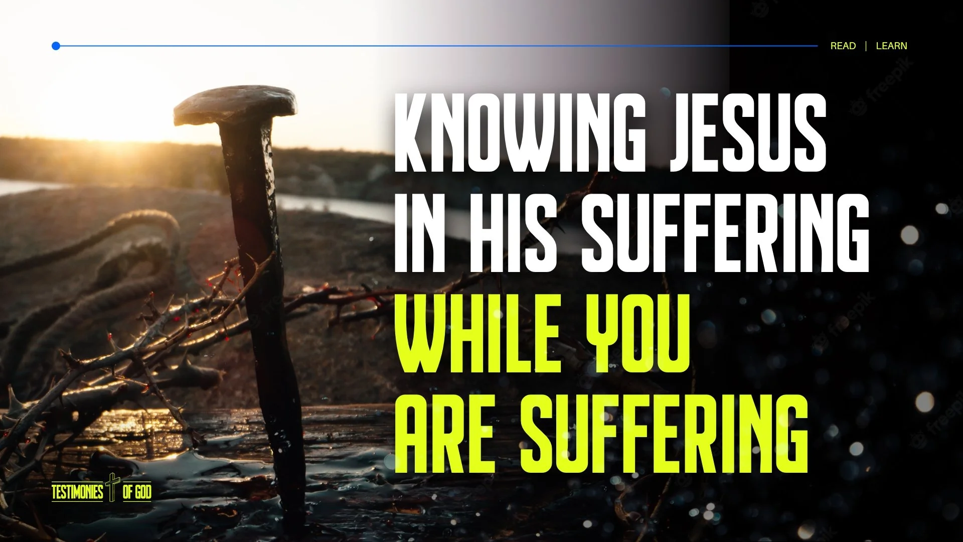 Understanding Our Suffering Through Jesus' Suffering