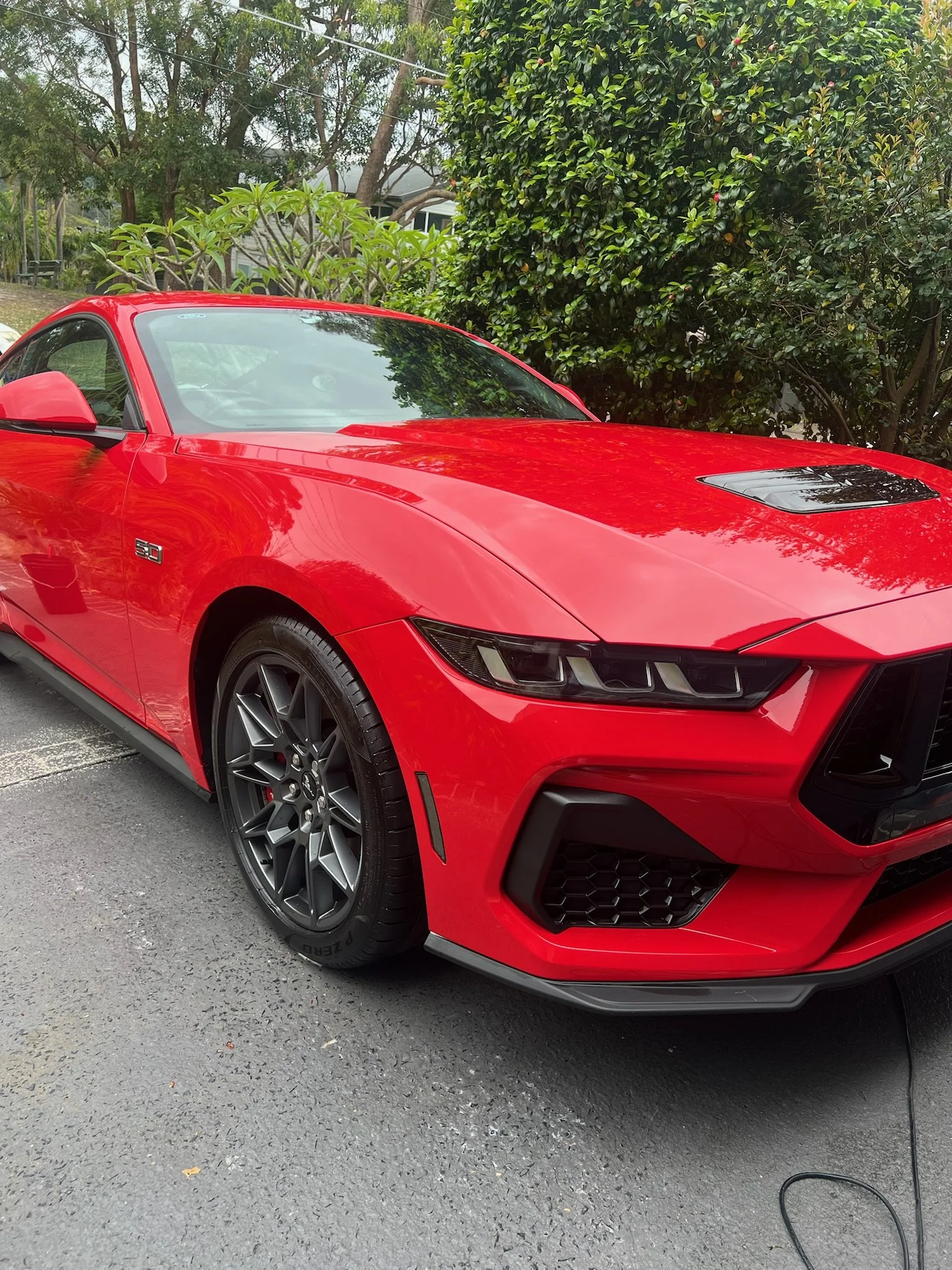 Red sports car parked on a driveway with trees and bushes in the background.