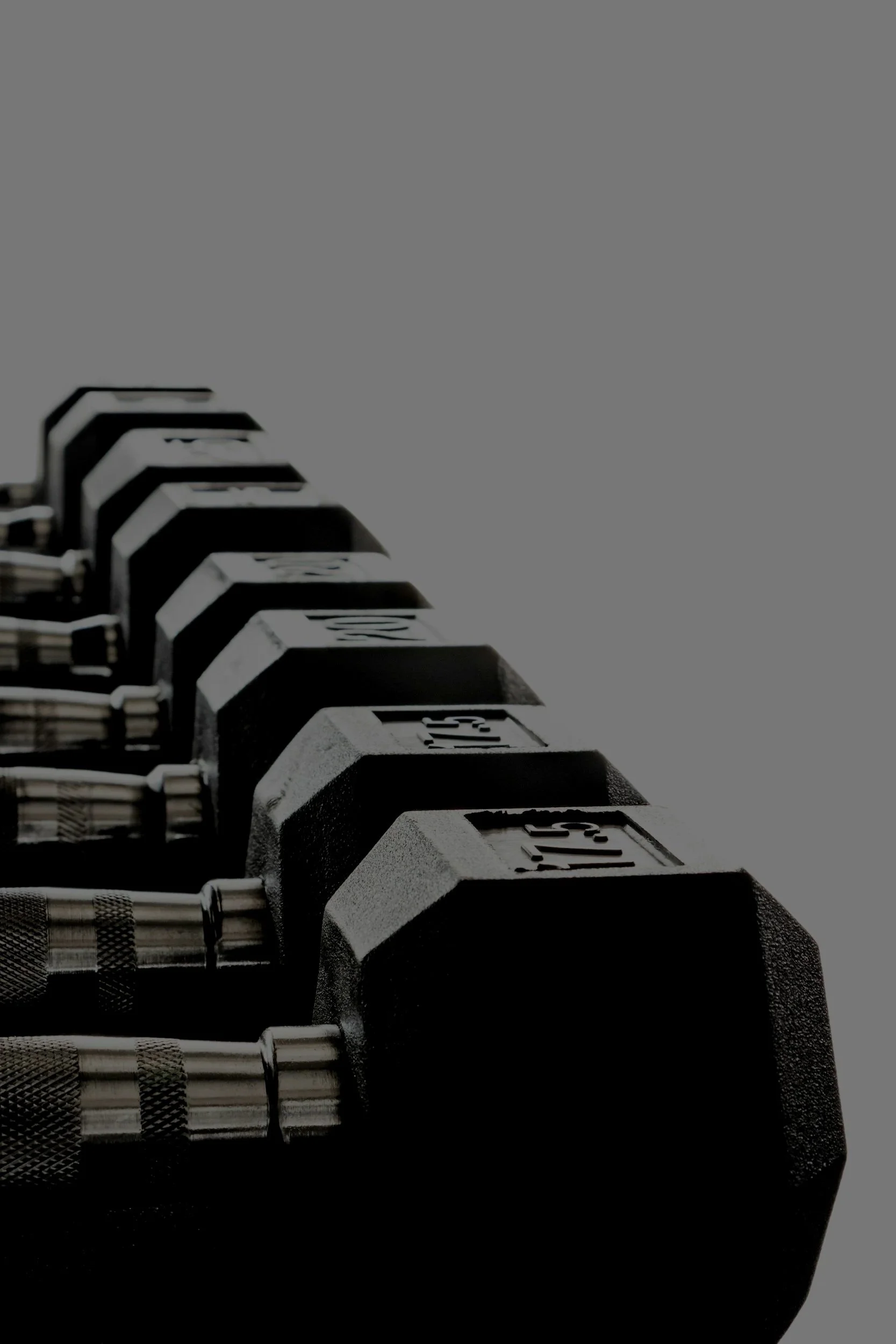 Close-up of a row of black dumbbells with silver handles, lined up on a gray background.