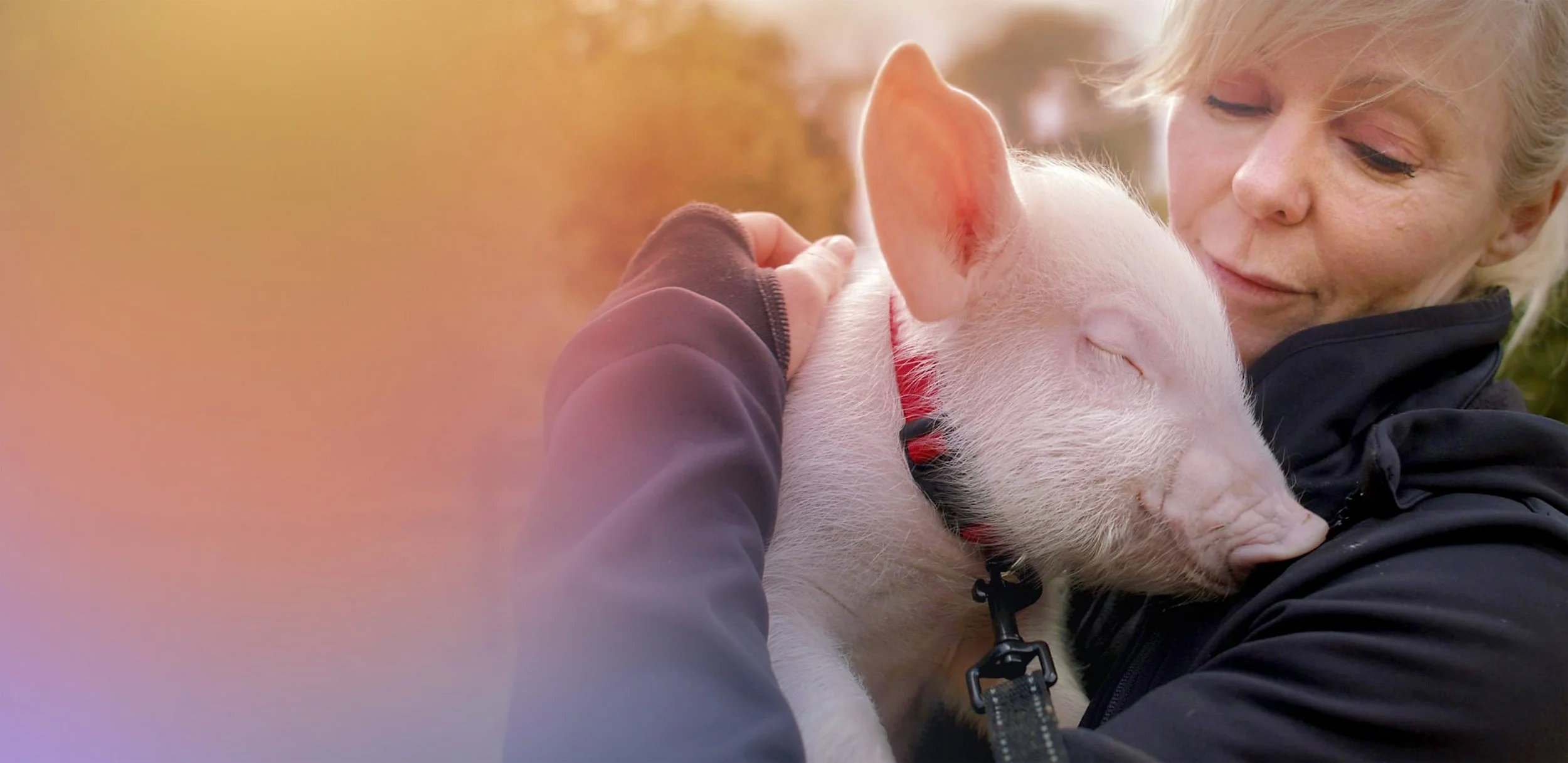 GK_Banner_shae and tottie.jpg