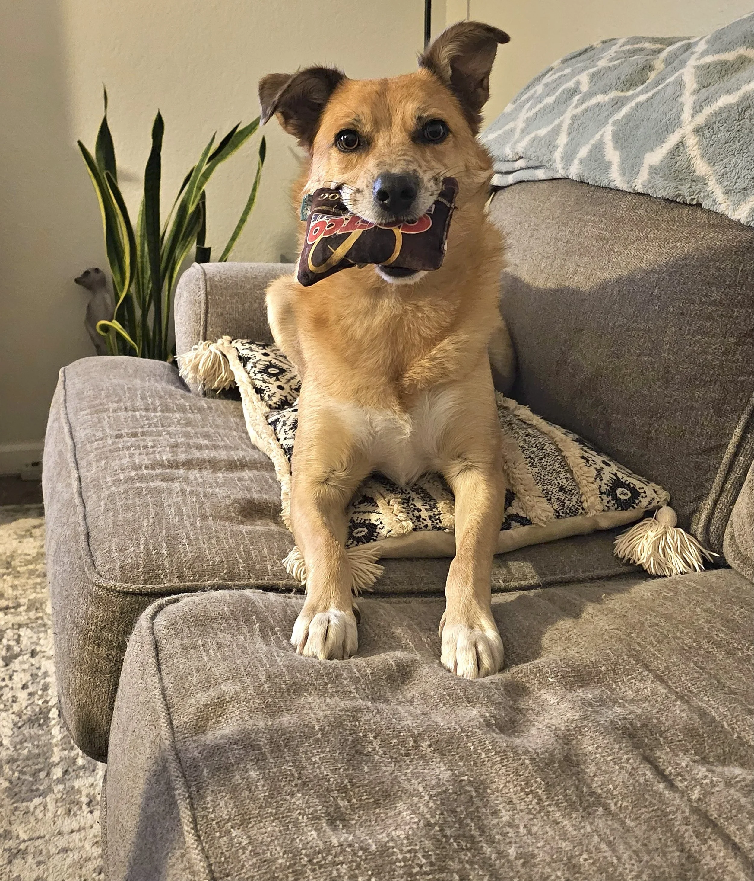 2025-07-17 19.56.19.jpg