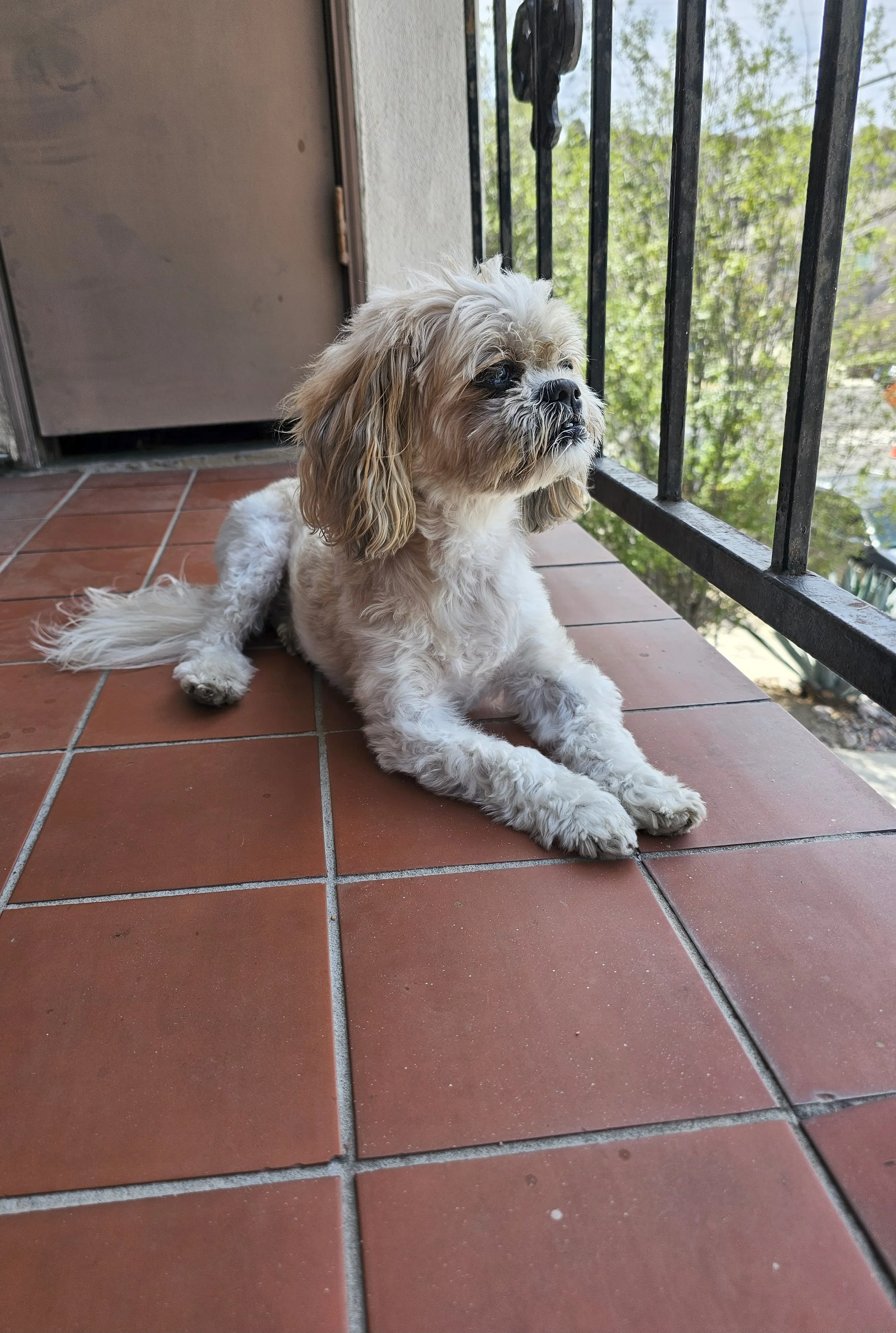 2025-07-24 11.49.21.jpg