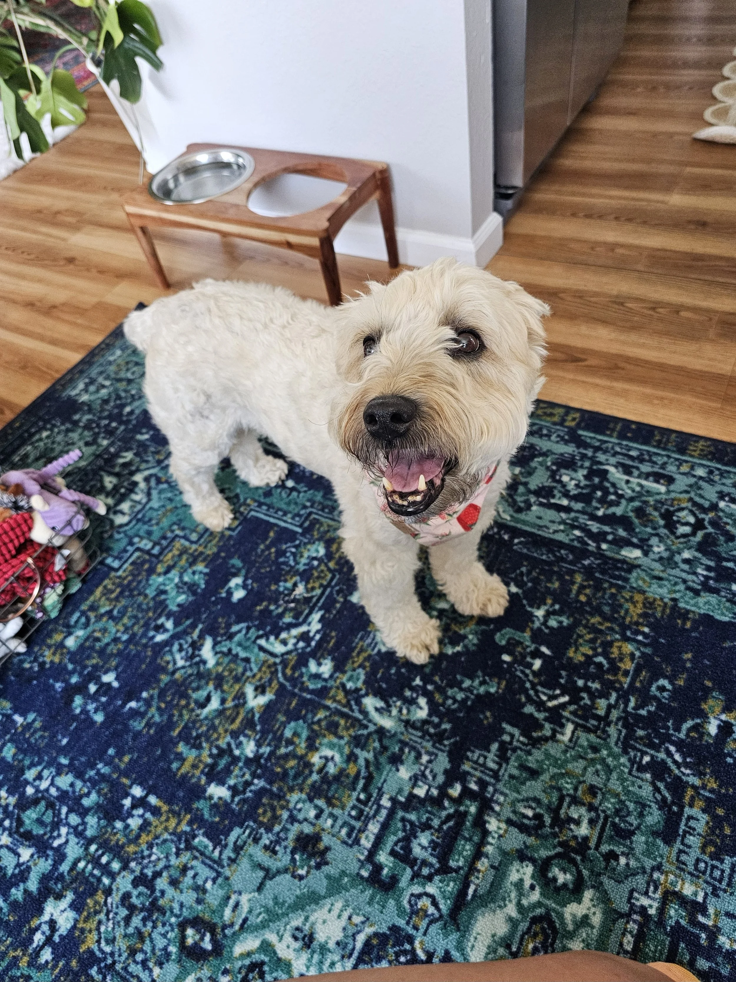 2024-09-04 12.59.31.jpg