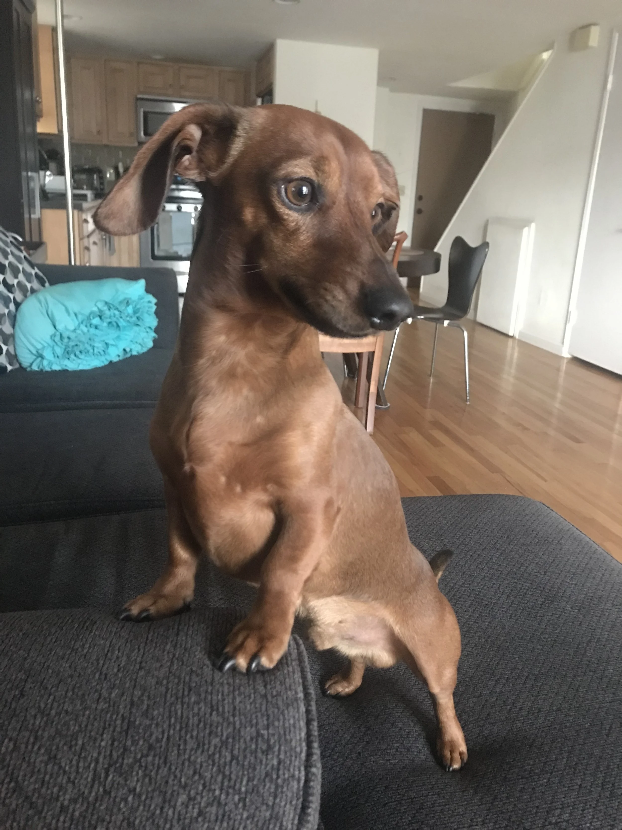 2023-01-30 09.00.44.jpg