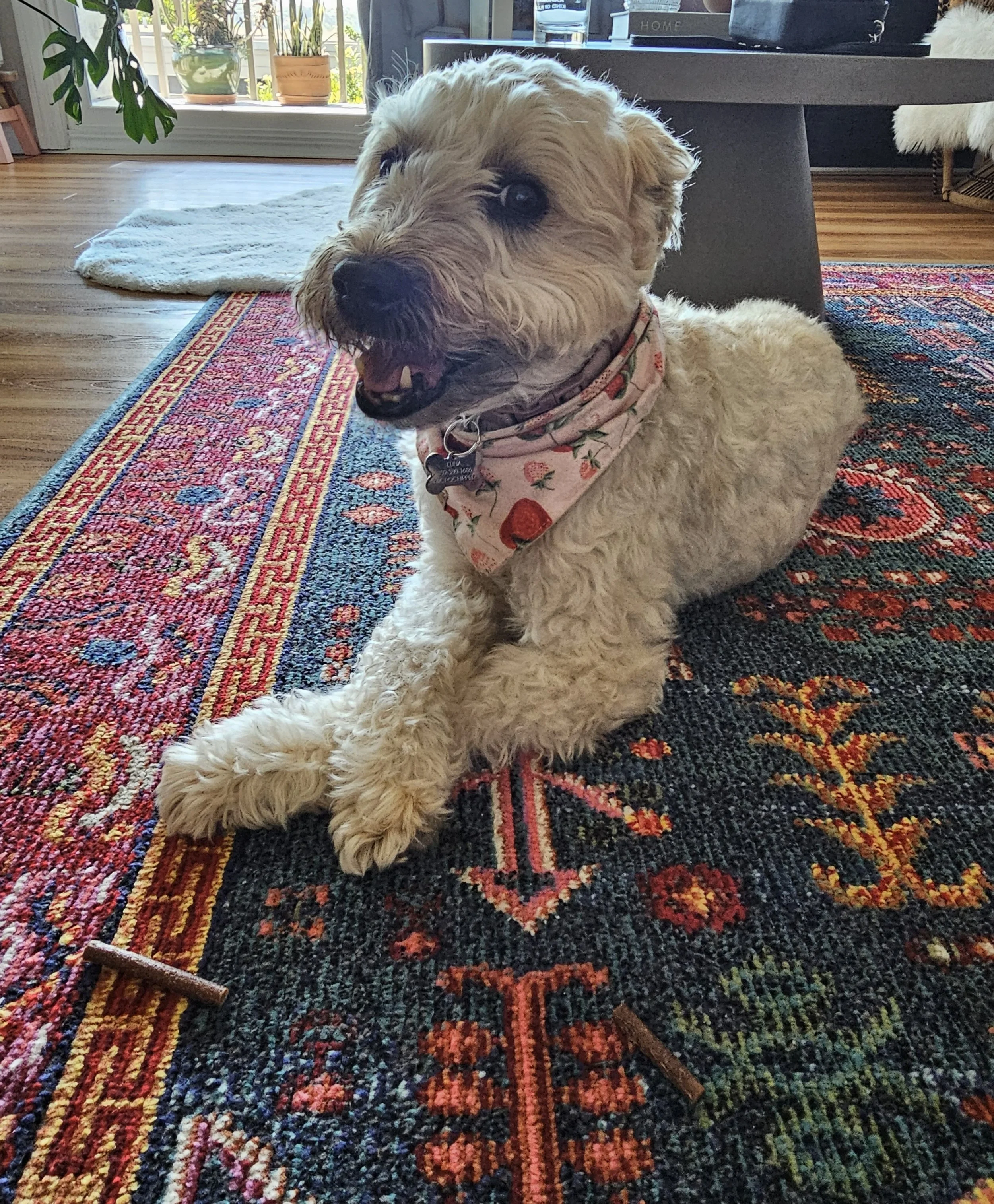 2024-09-03 12.30.10.jpg