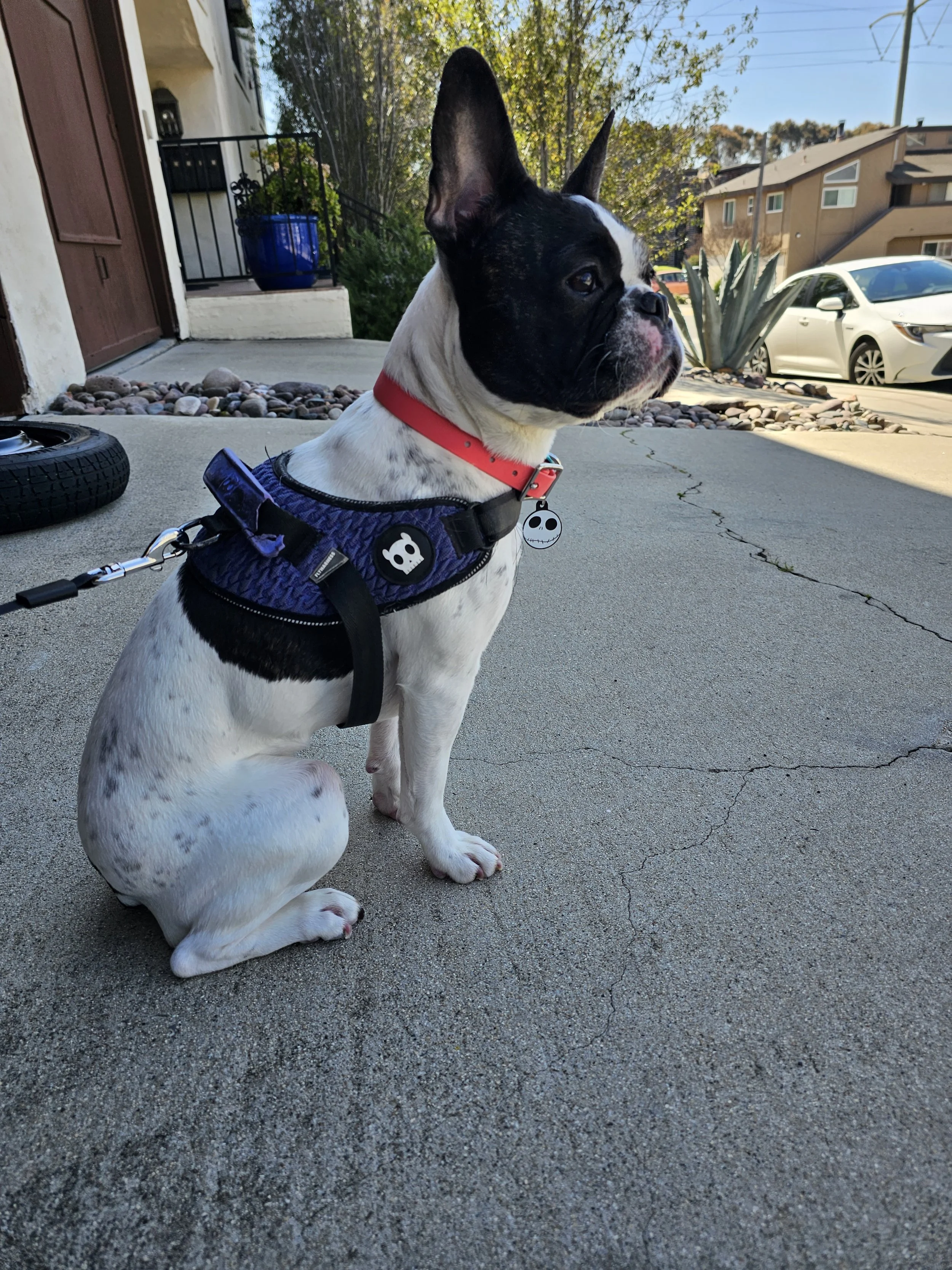 2023-03-18 11.38.17.jpg