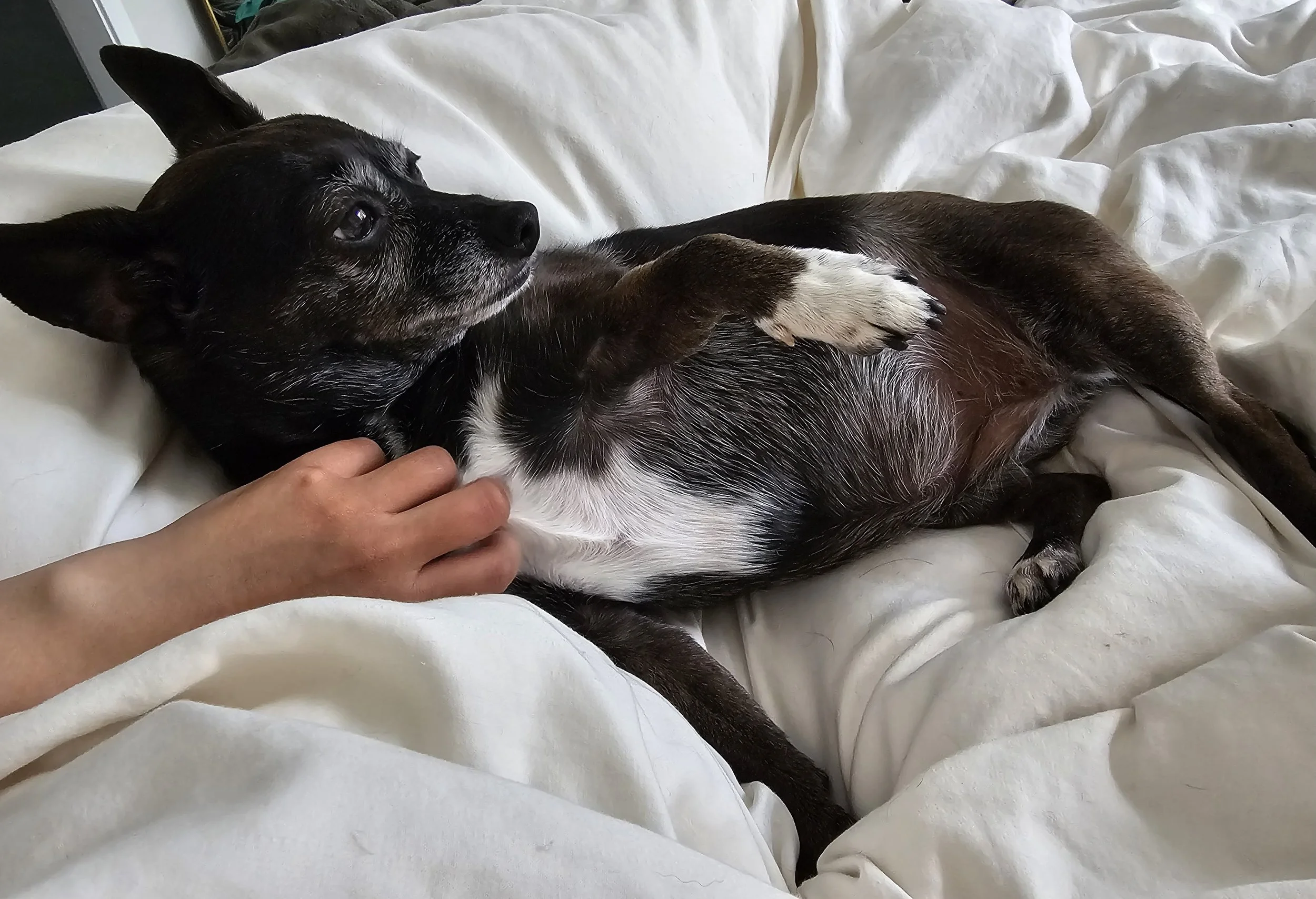 2025-06-08 08.53.05.jpg