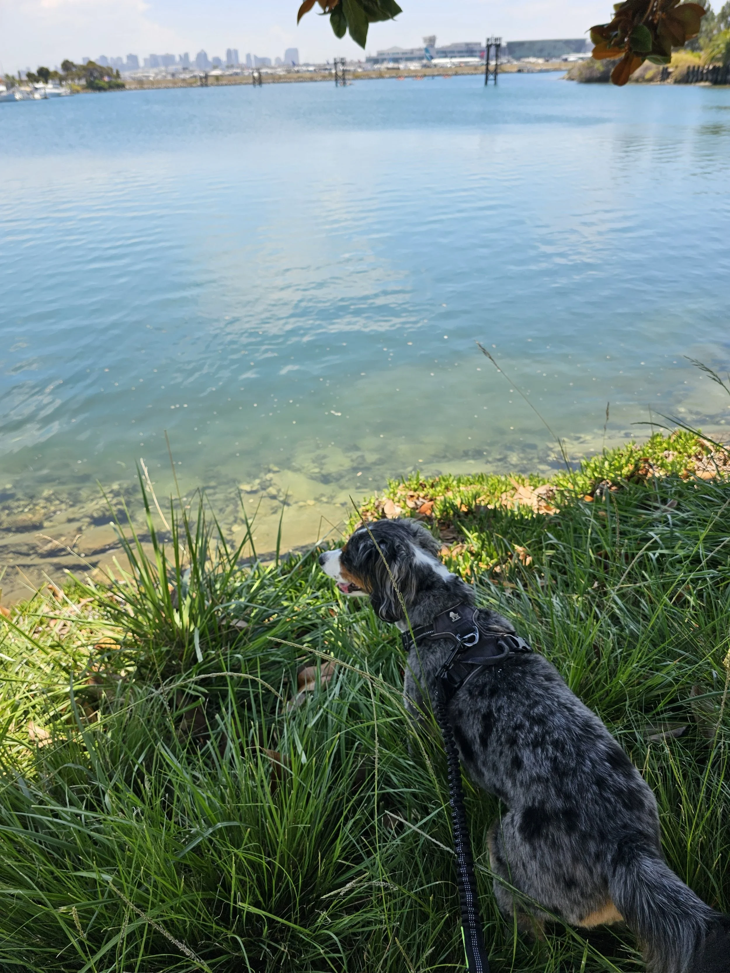 2024-08-04 12.20.52.jpg