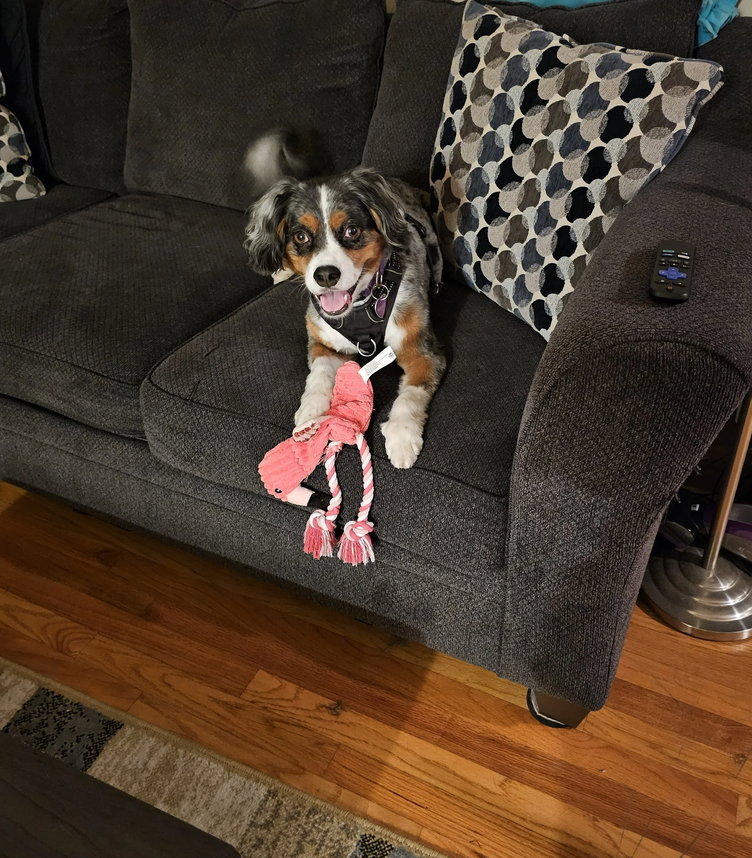 2024-10-02 18.56.00.jpg