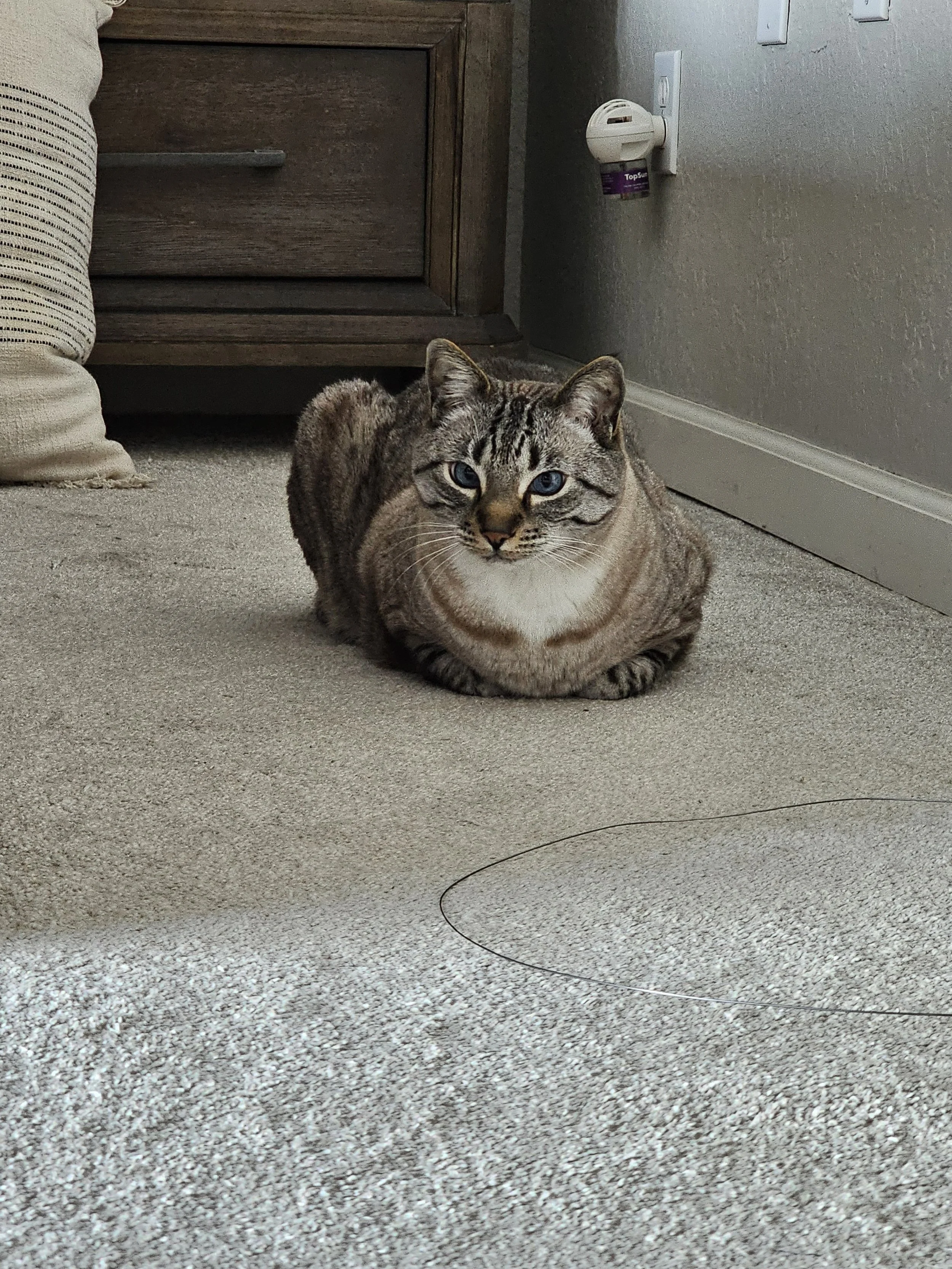 2025-05-01 18.42.08.jpg