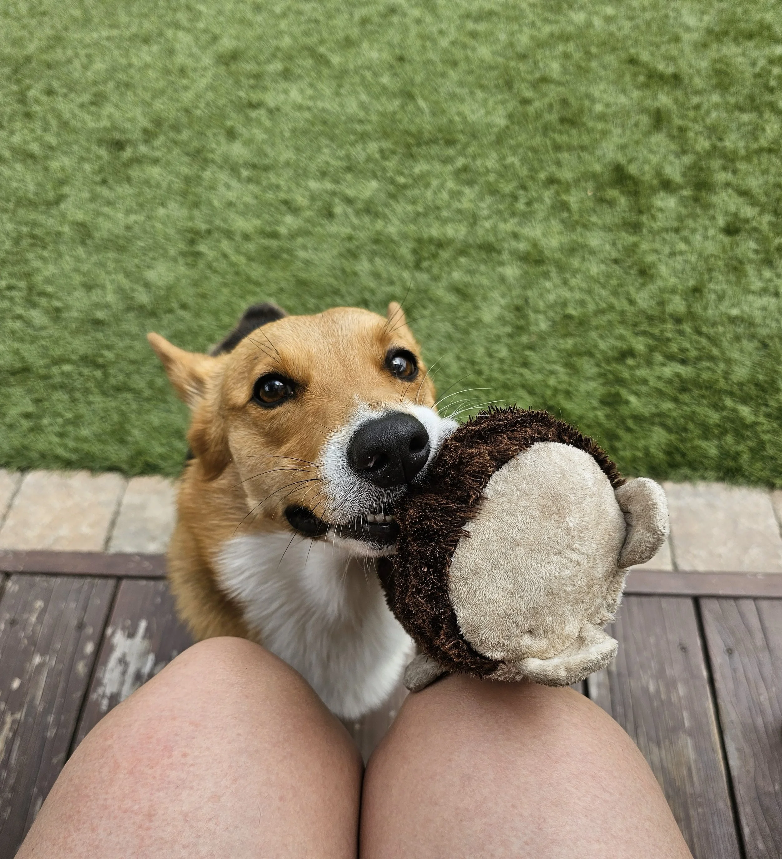 2024-05-26 12.40.12.jpg