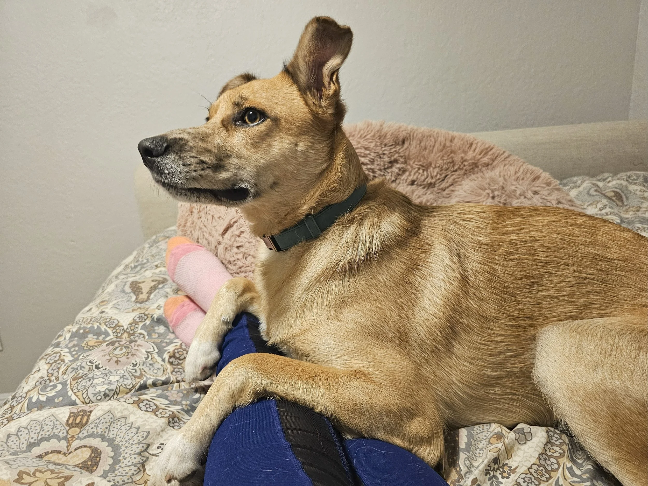 2023-11-22 190319.jpg