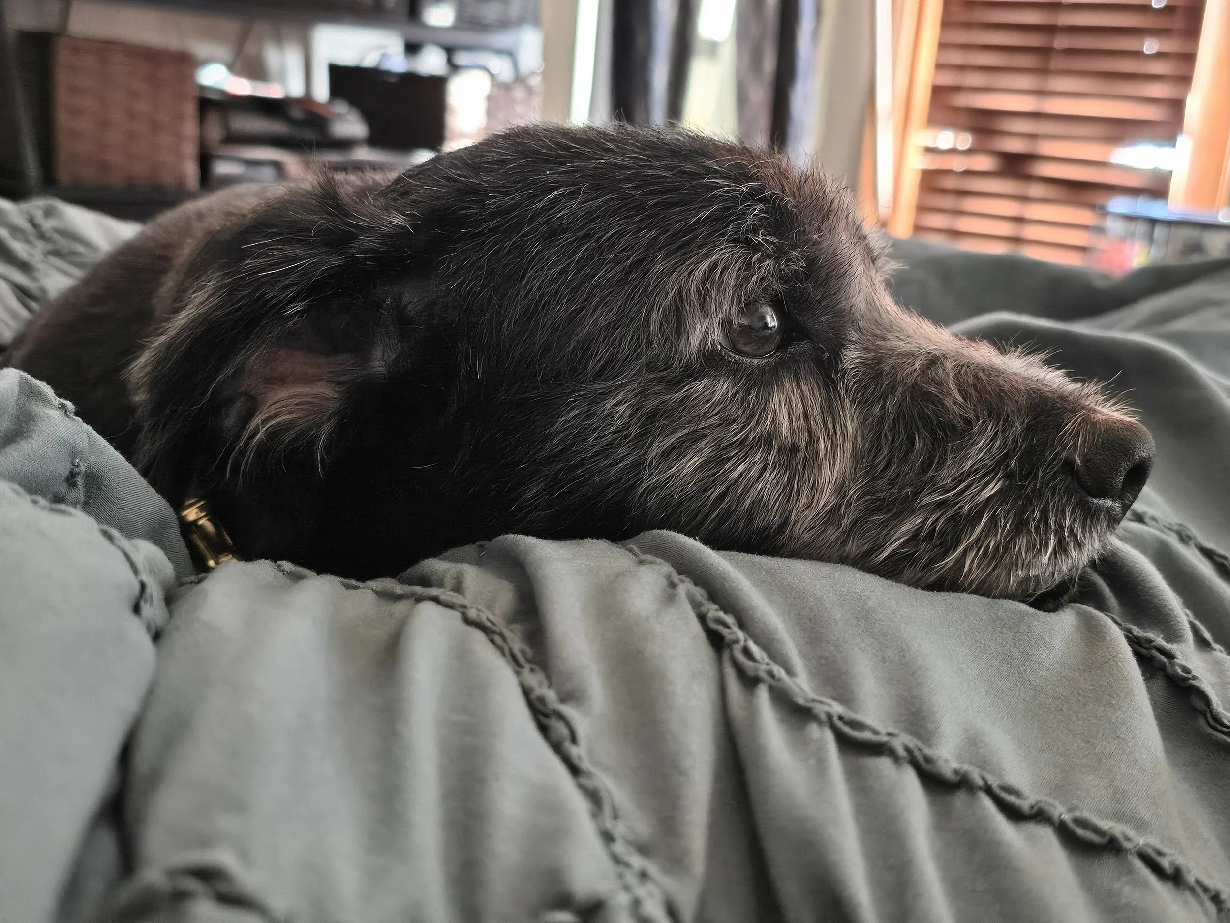 2024-05-12 18.07.18.jpg