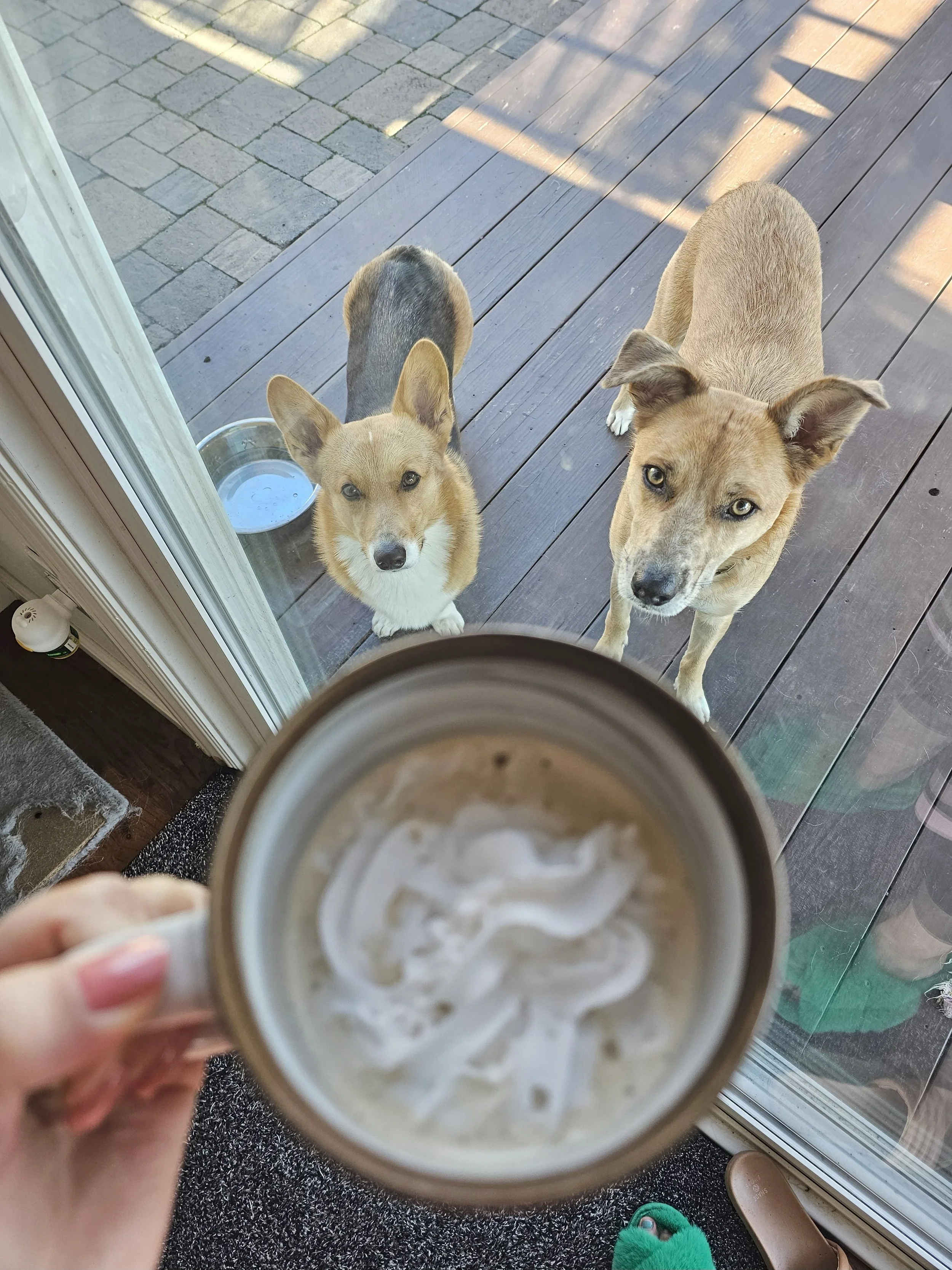 2023-12-25 10.56.16.jpg