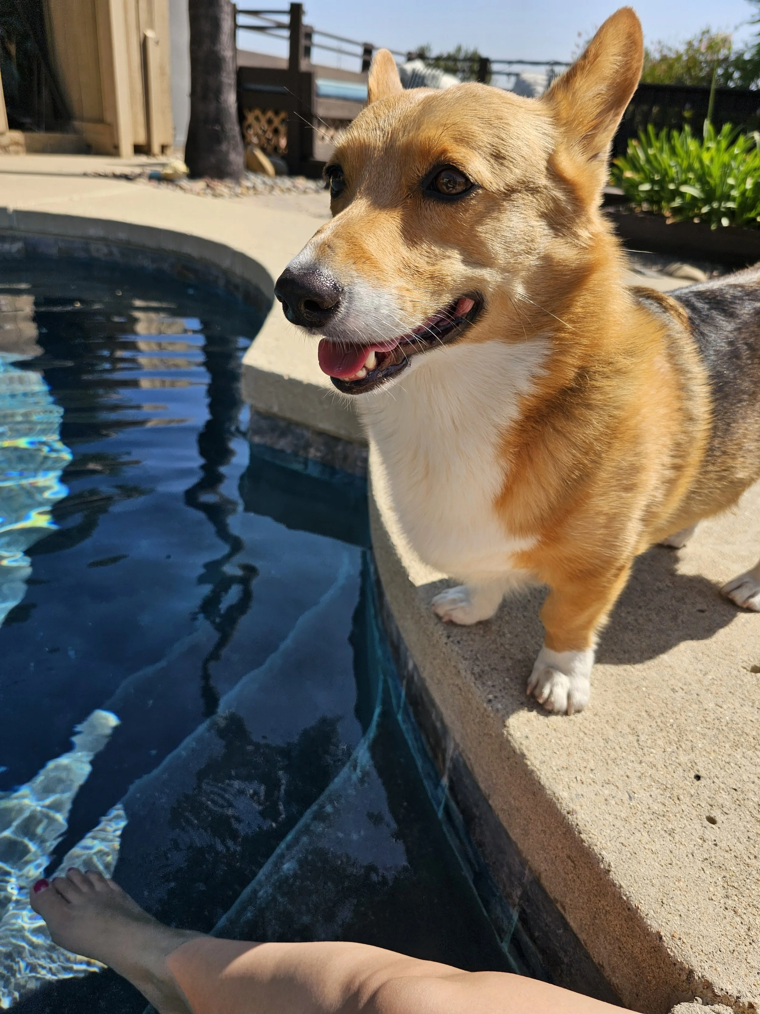 2025-07-16 09.58.30.jpg