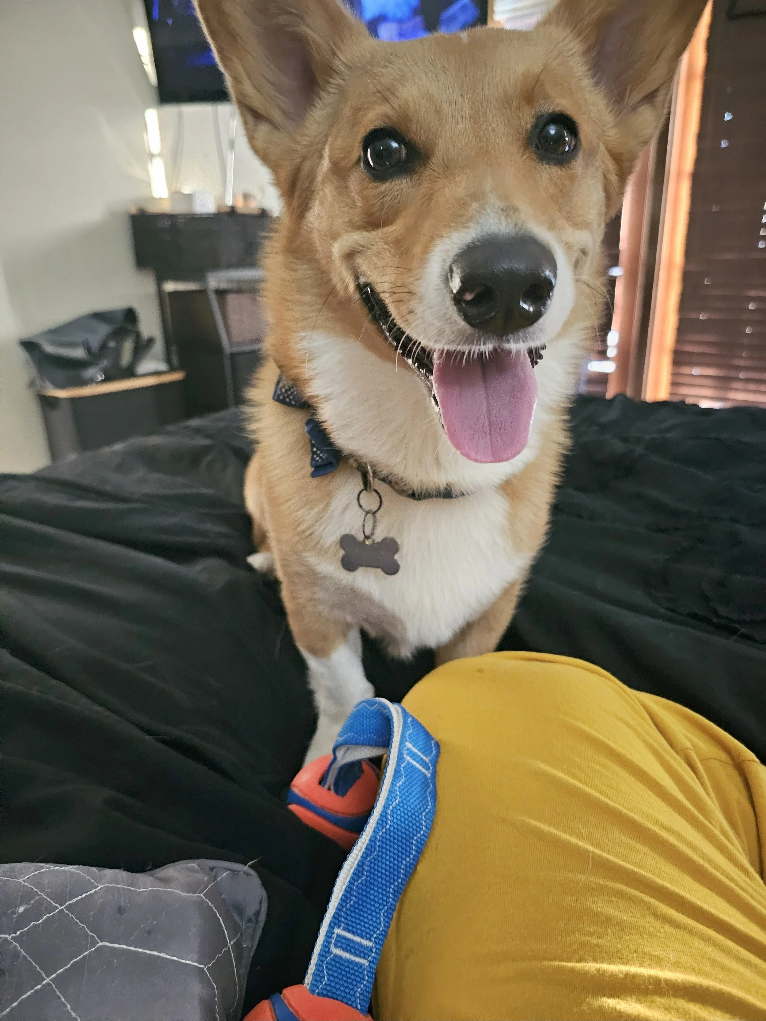 2023-07-11 19.08.09.jpg