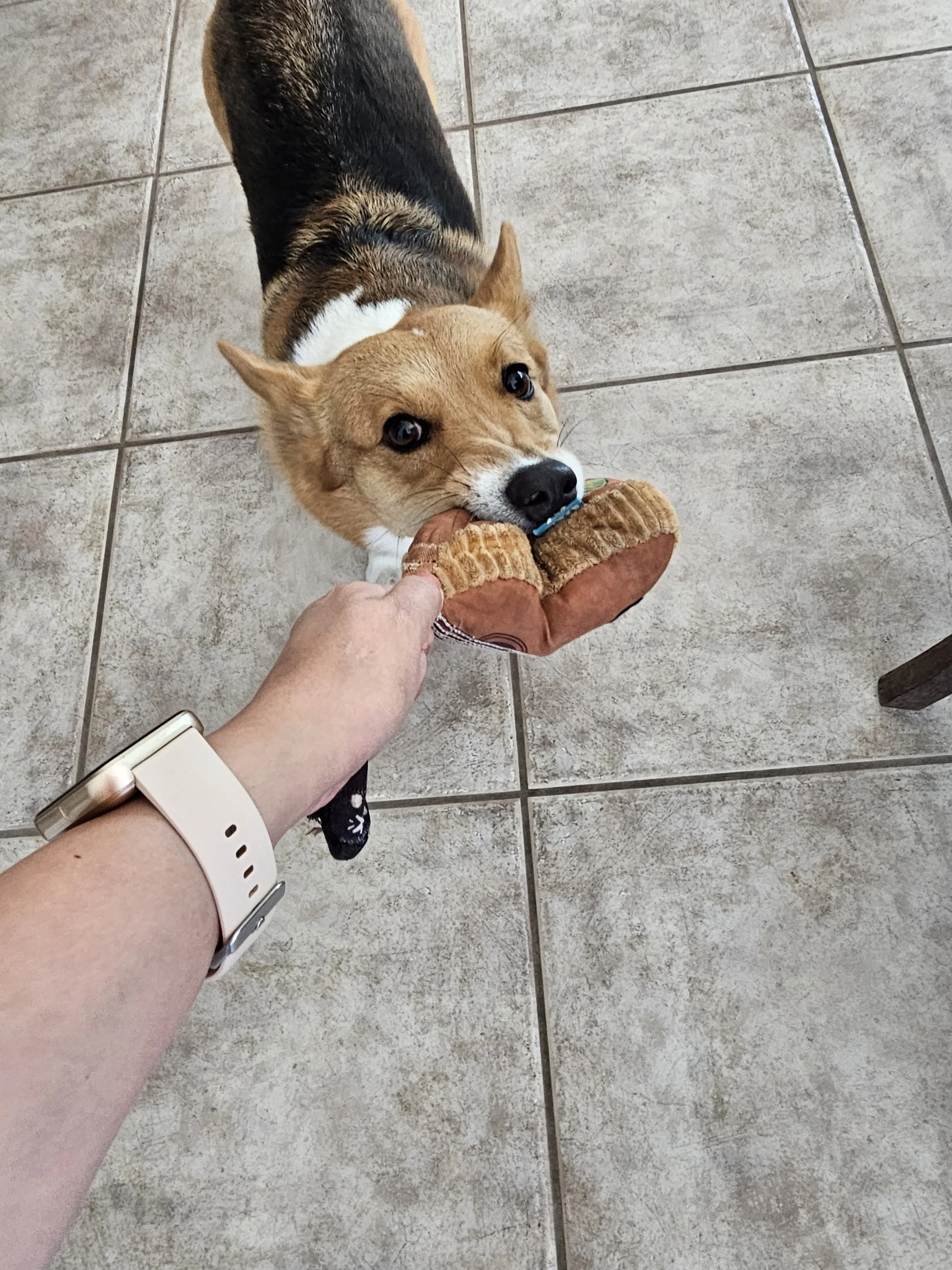 2024-11-01 14.07.19.jpg