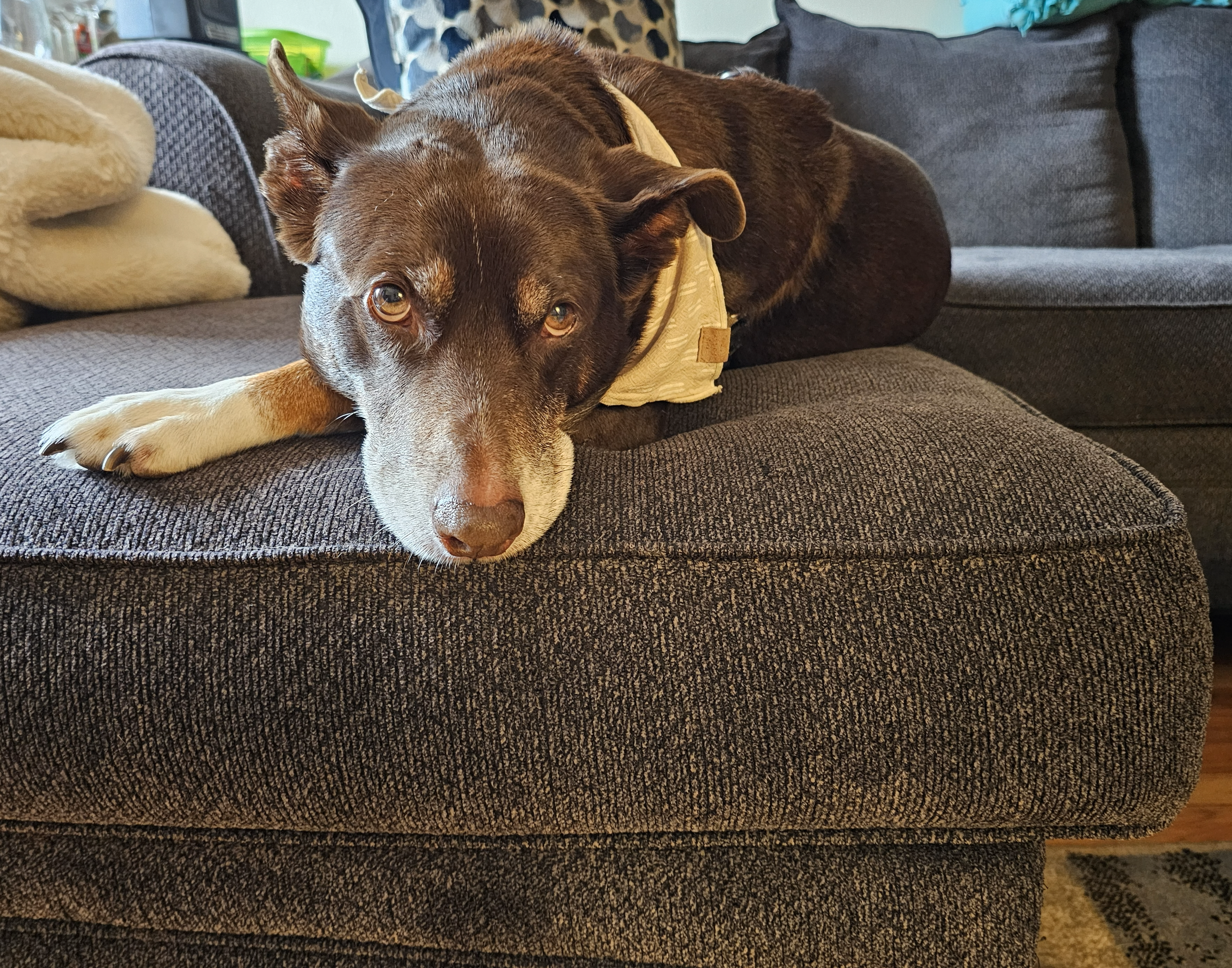 2025-05-05 12.36.24.png