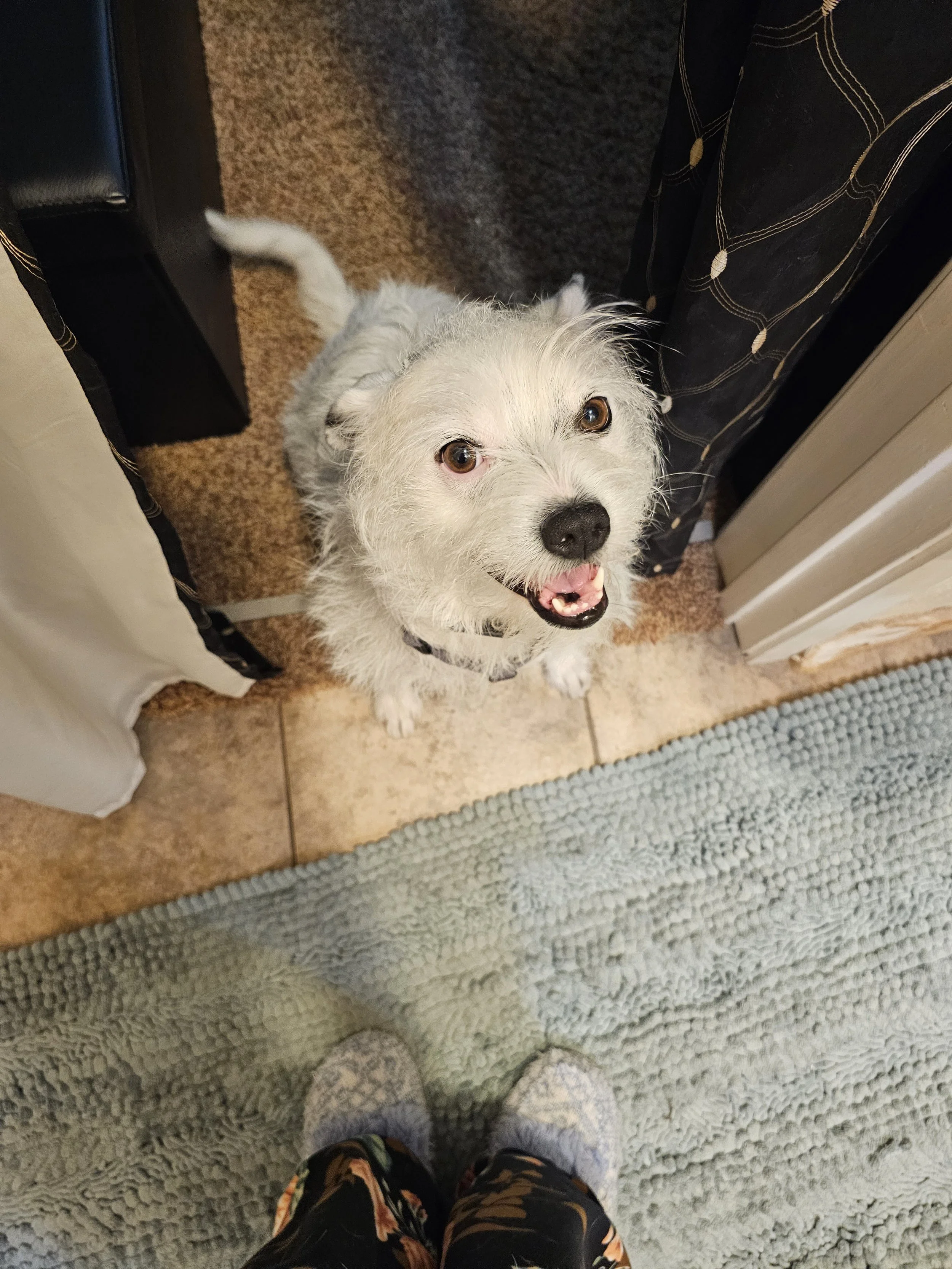 2023-03-09 182220.jpg