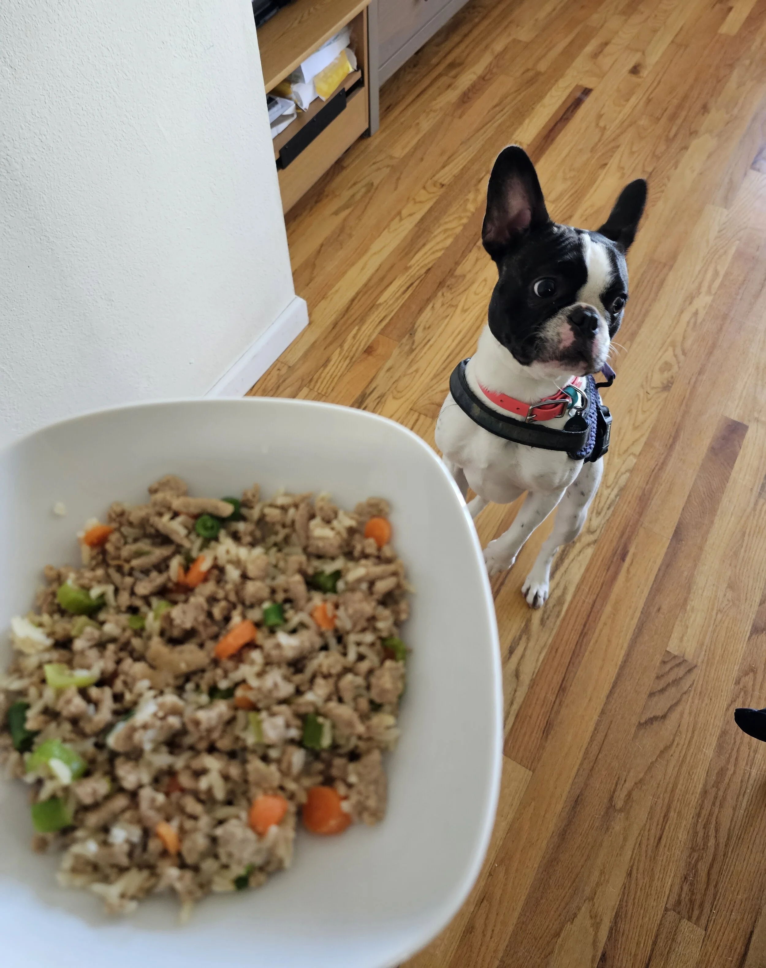 2023-03-18 120112.jpg