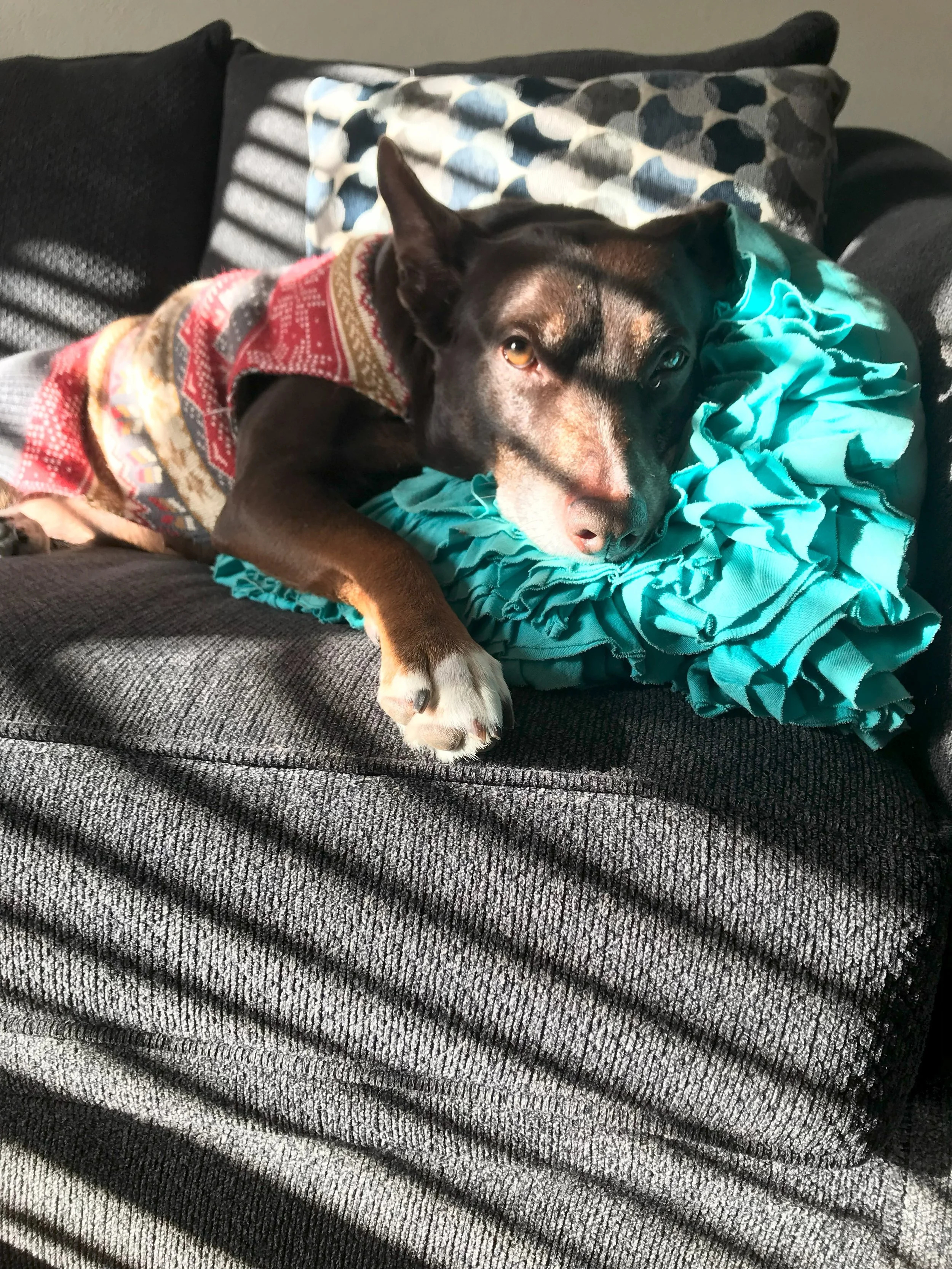 2023-01-17 15.22.22.jpg