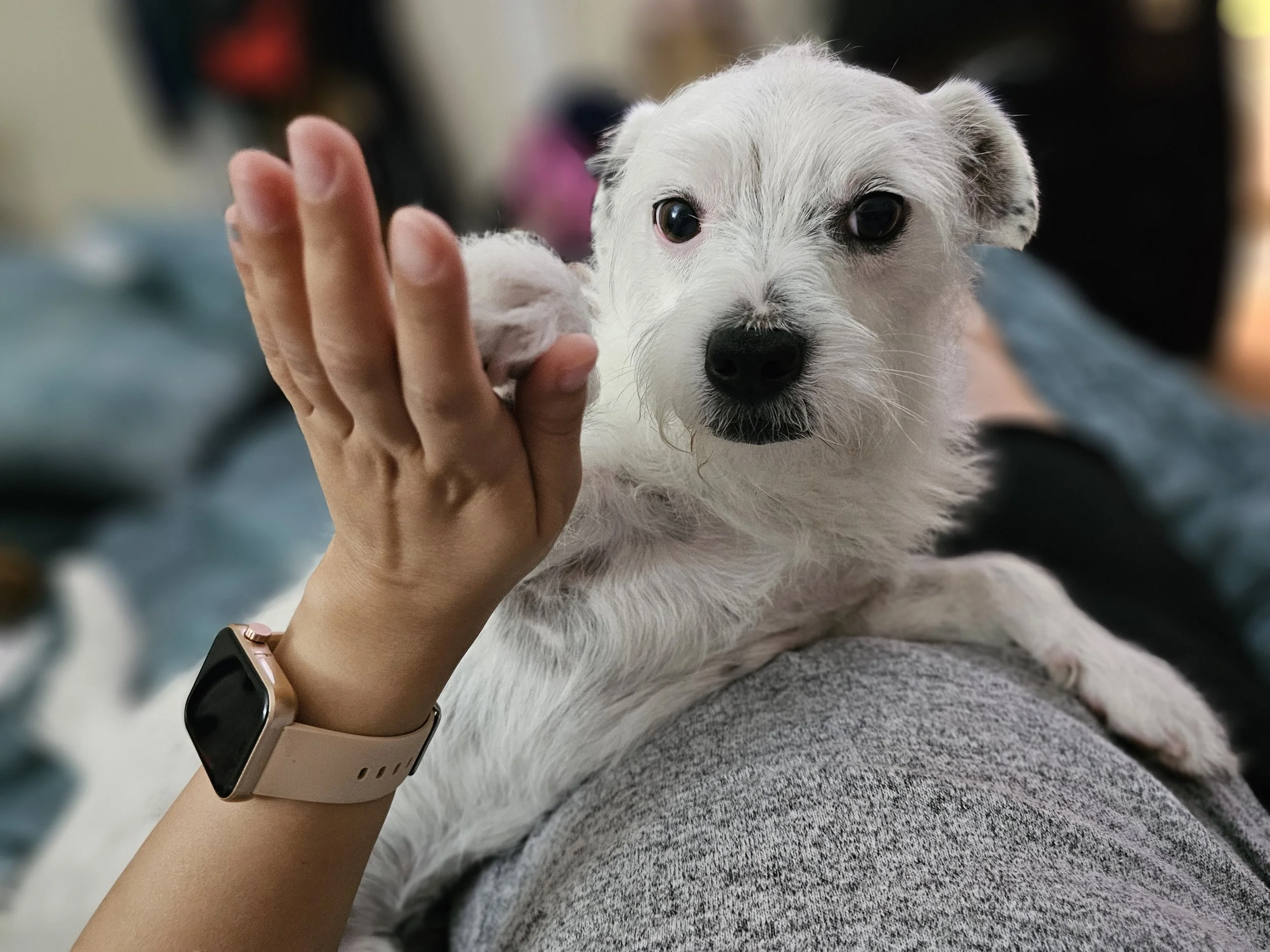 2024-07-23 20.56.25.jpg