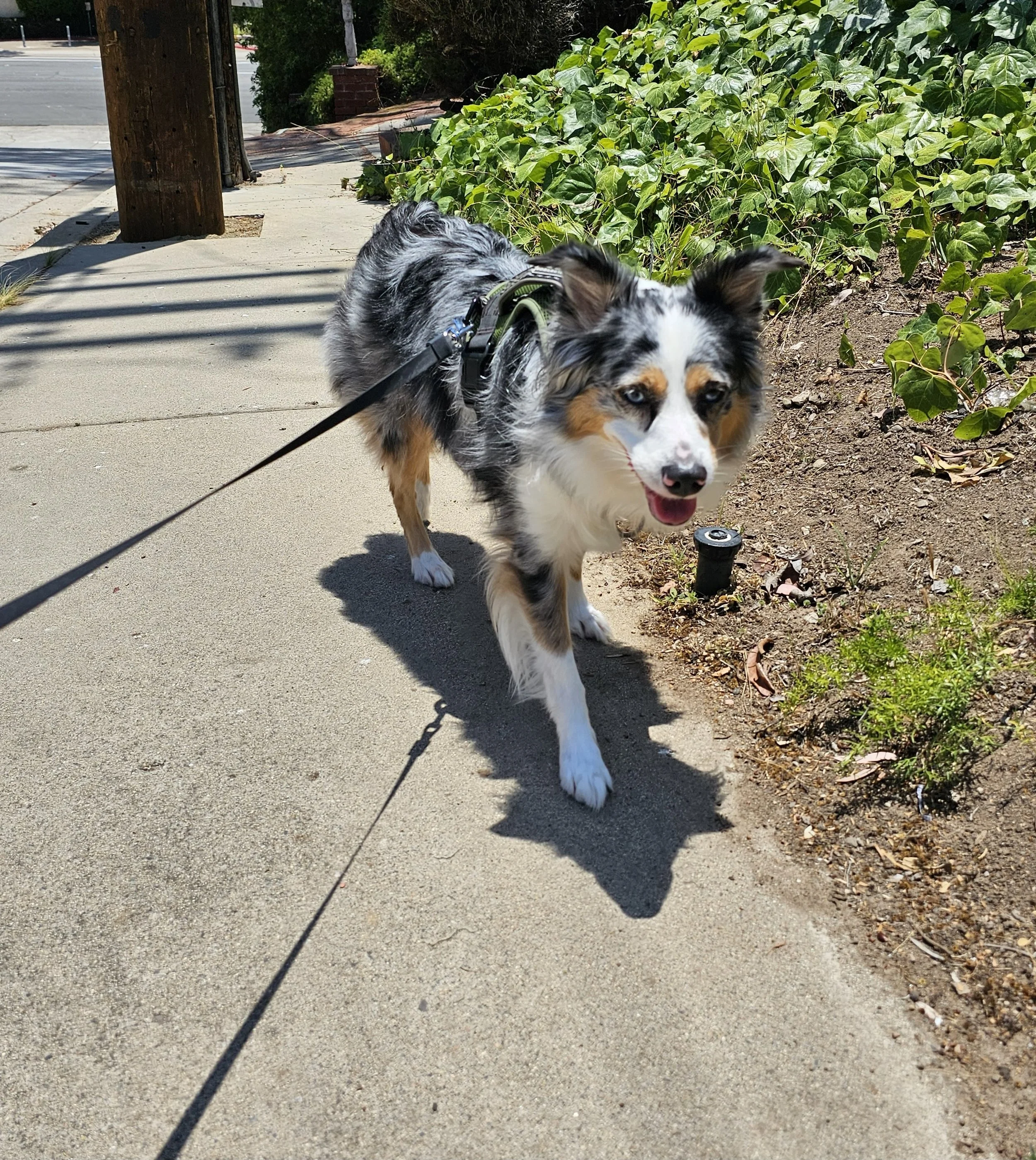 2025-06-27 13.02.28.jpg