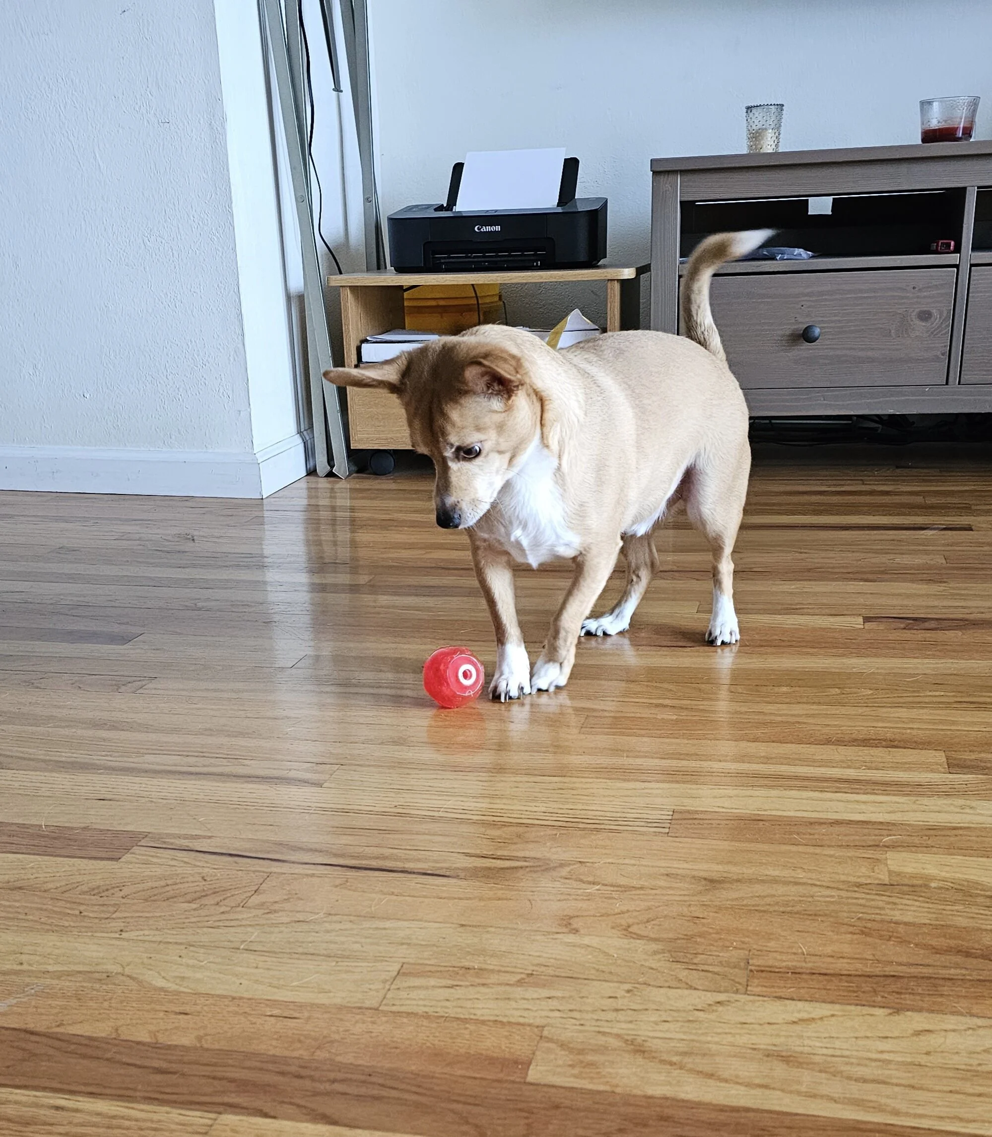 2023-03-01 131915.jpg